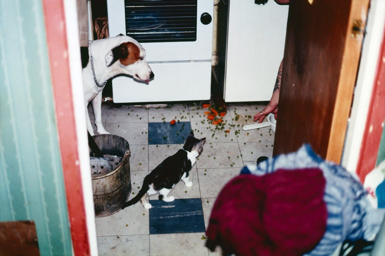 Richard Billingham — Ray's a Laugh