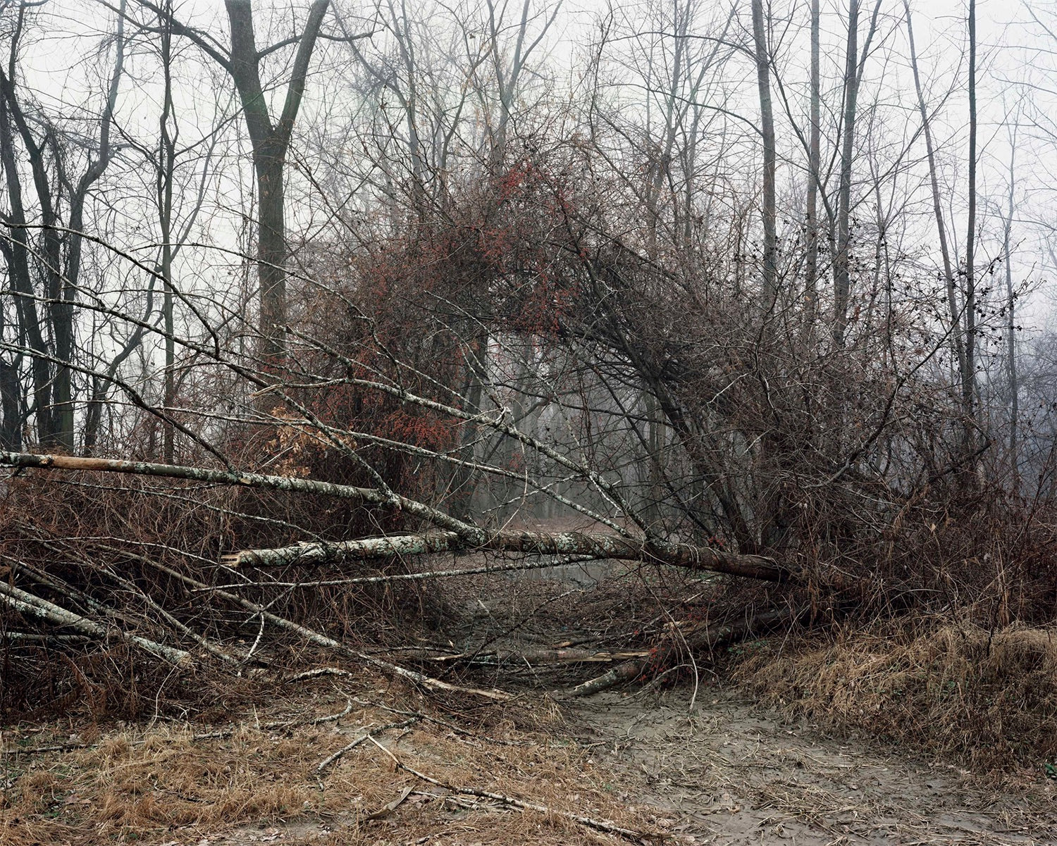 Joel Sternfeld — Oxbow Archive