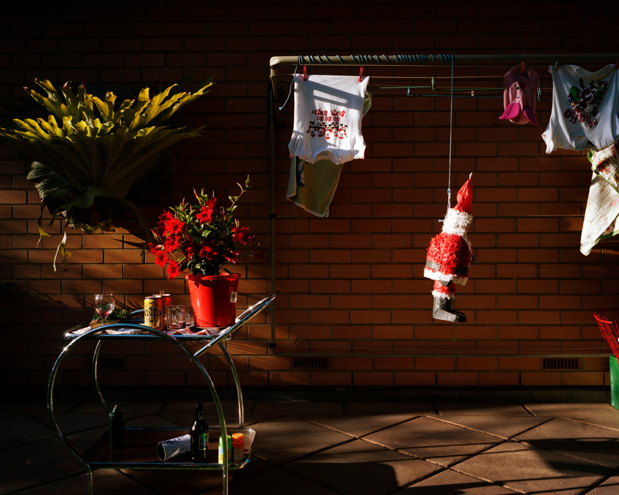 Trent Parke — The Christmas Tree Bucket