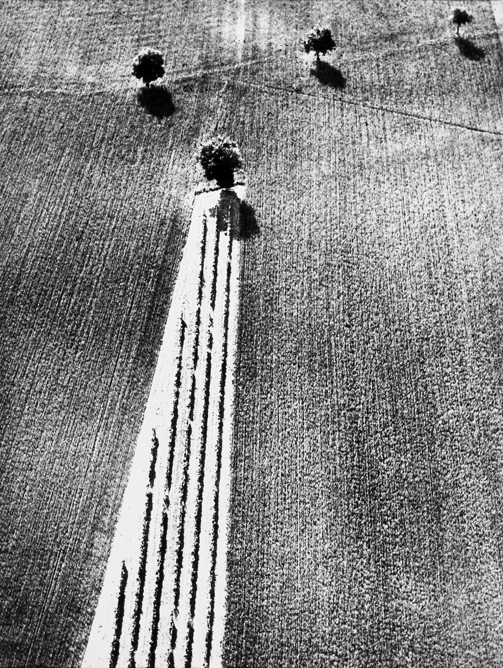 Mario Giacomelli — Mario Giacomelli
