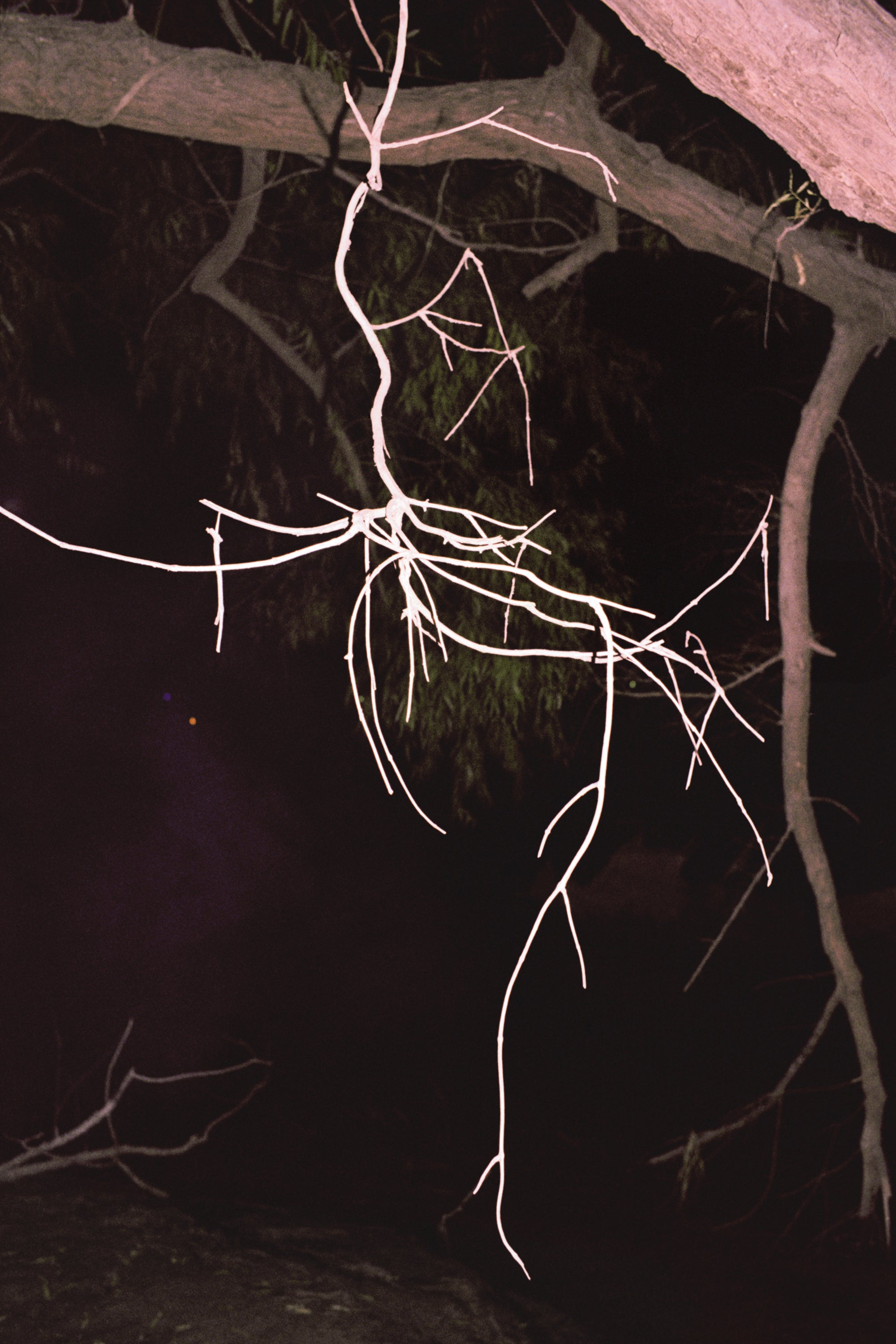 Coley Brown — A Recurring Dream