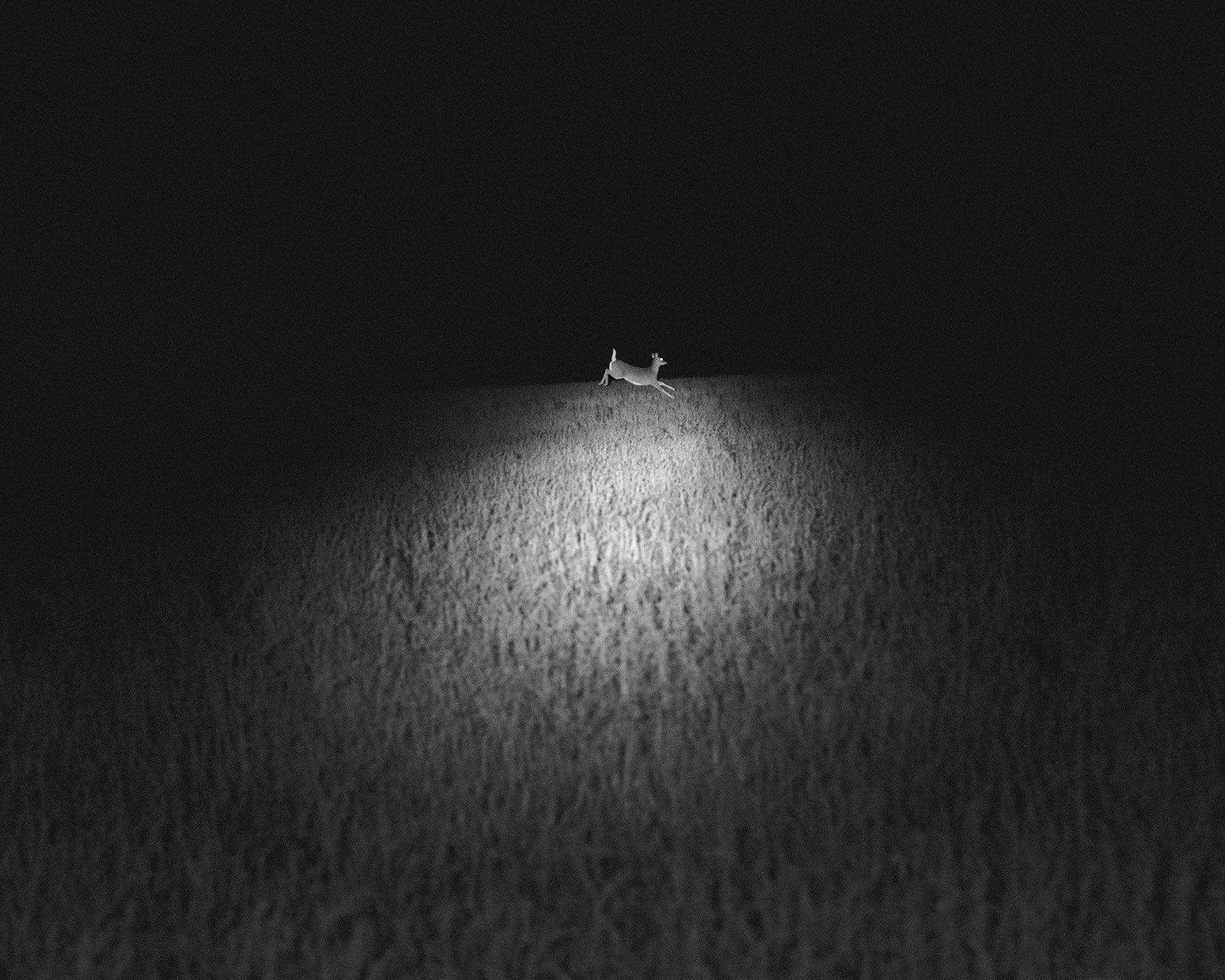 Erinn Springer — Dormant Season