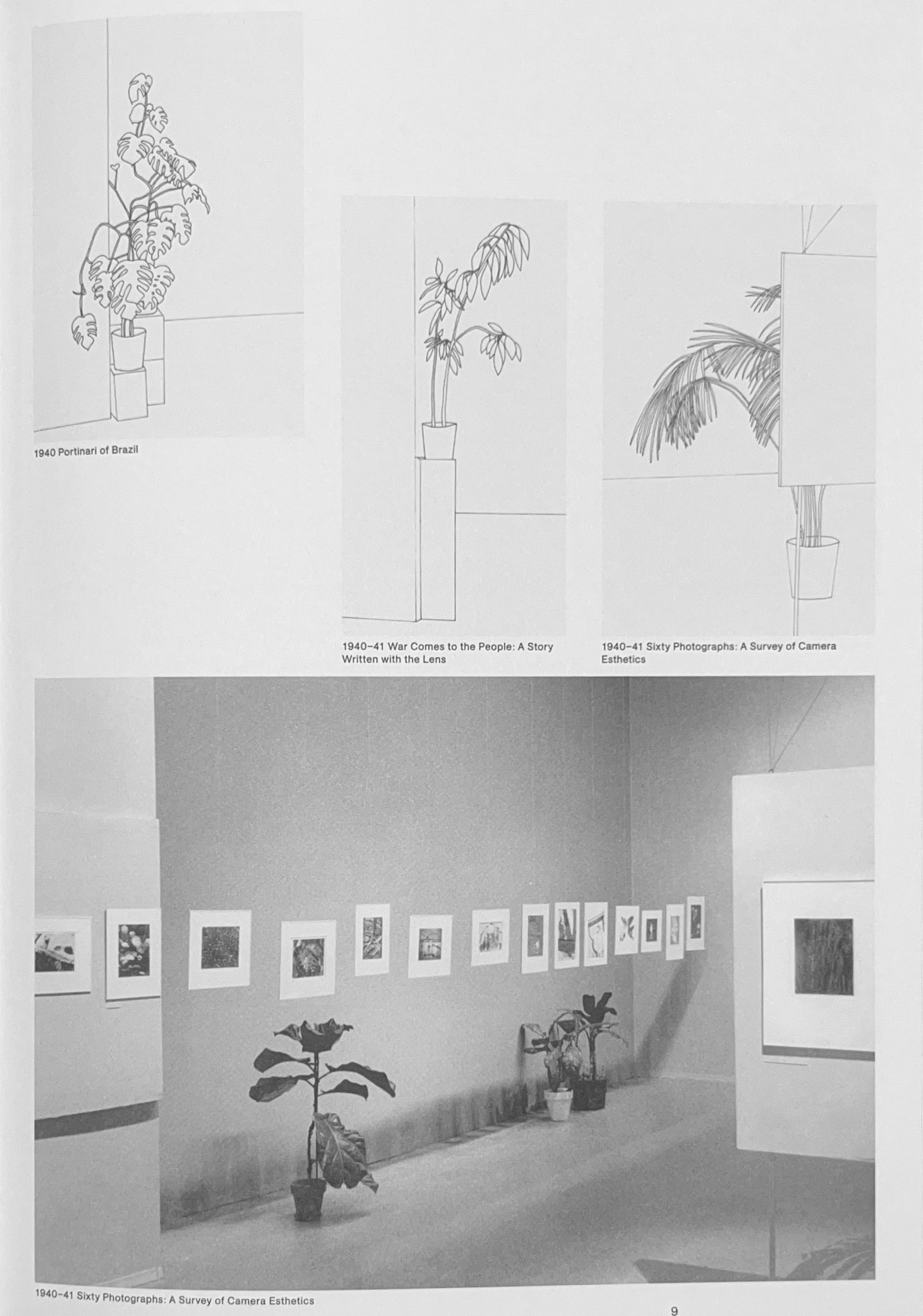 Inge Meijer — The MoMA Plant Collection