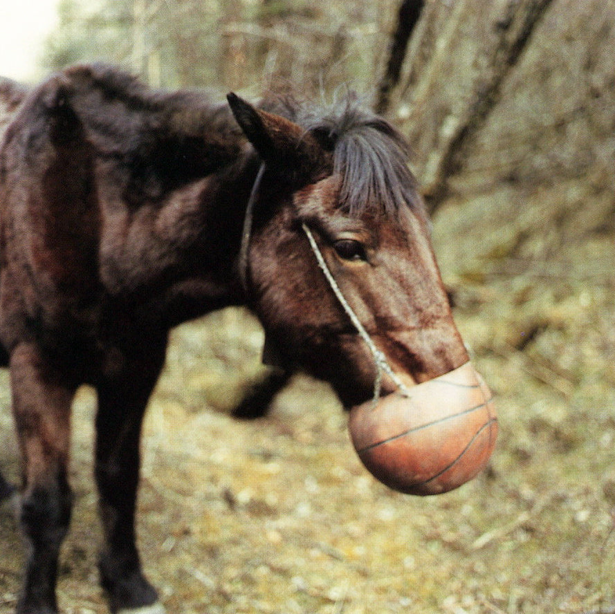 Jason Fulford — Crushed