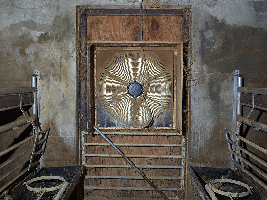 Henk Wildschut — Territorium