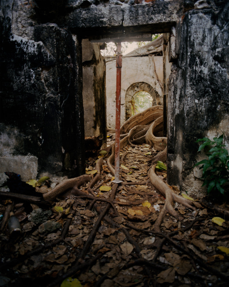 Gregory Halpern — Let The Sun Beheaded Be