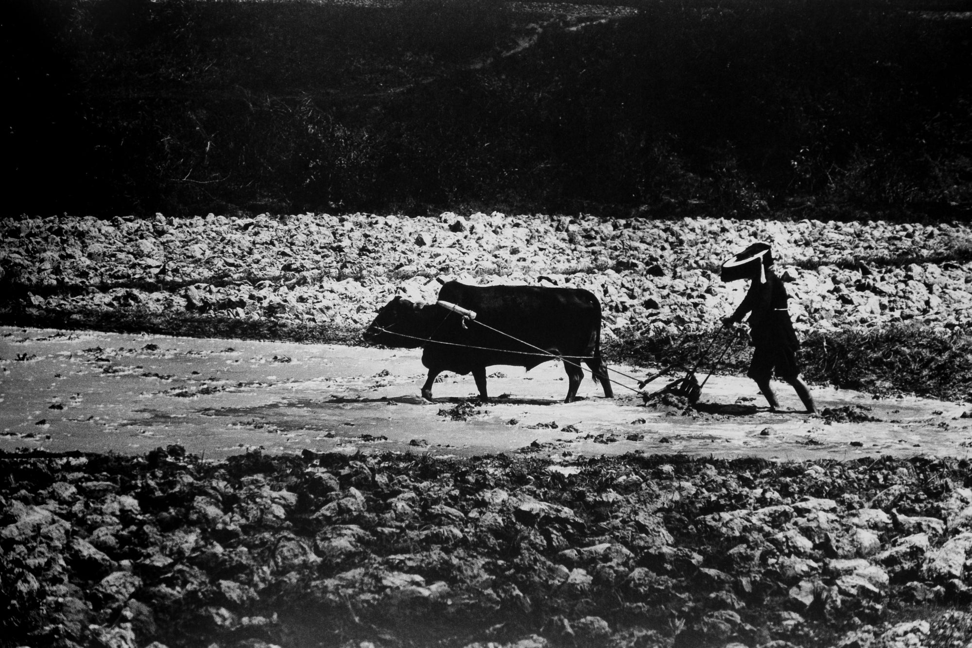 Ed van der Elsken —  Hong Kong