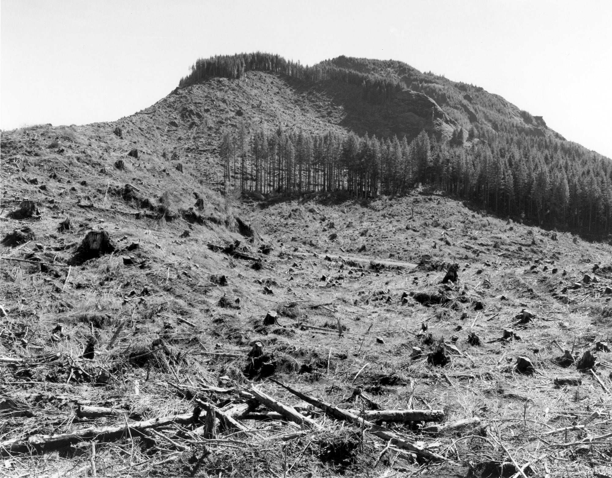 Robert Adams — Turning Back