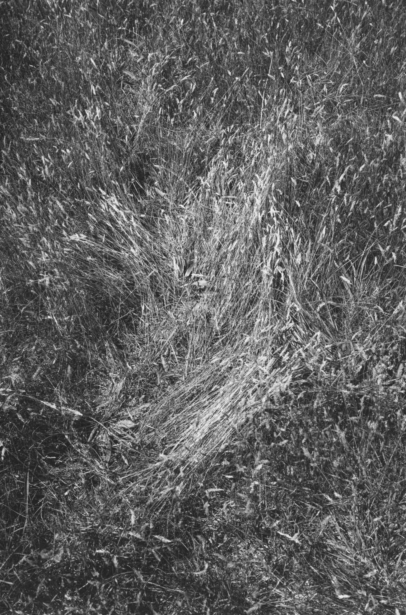 Viviane Sassen — Sol & Luna