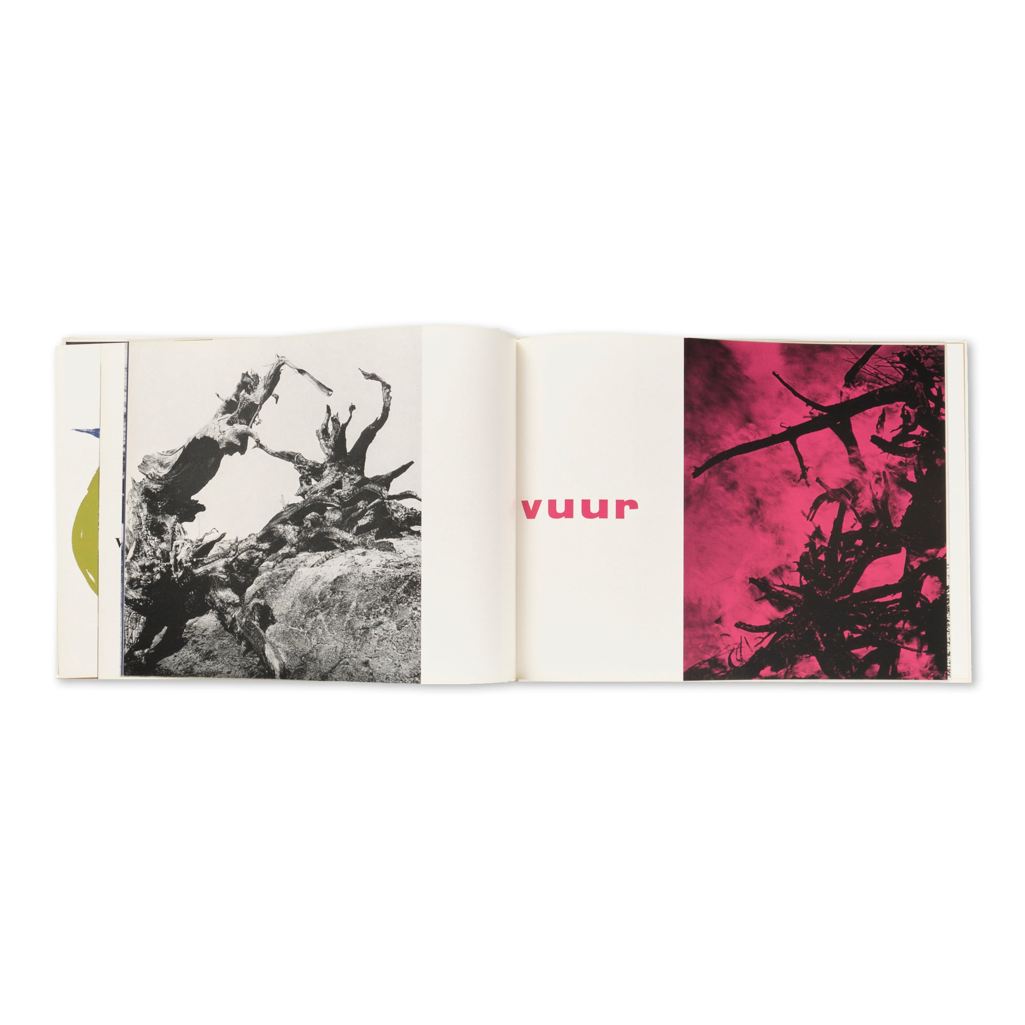 Martien Coppens — Monsters van de Peel