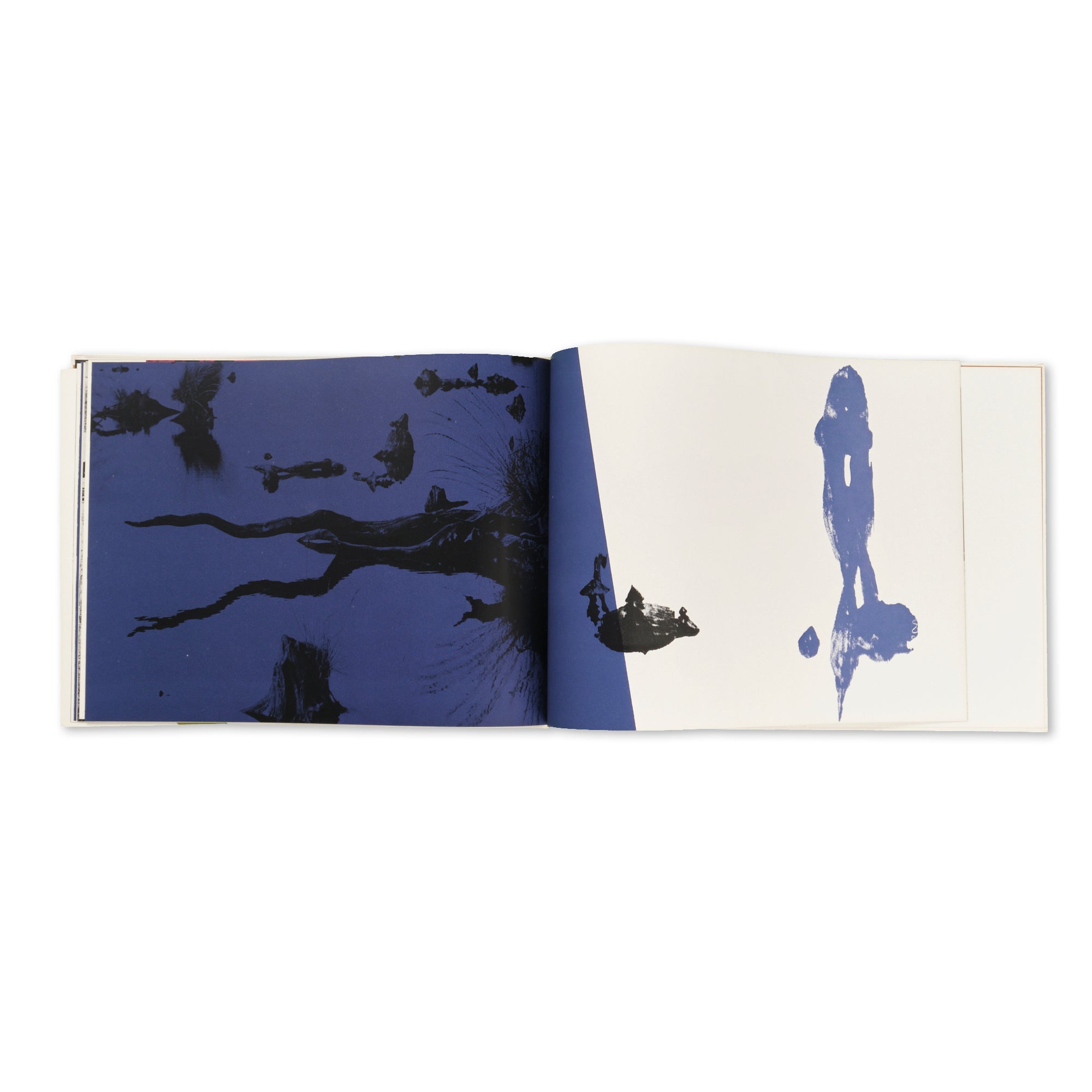 Martien Coppens — Monsters van de Peel