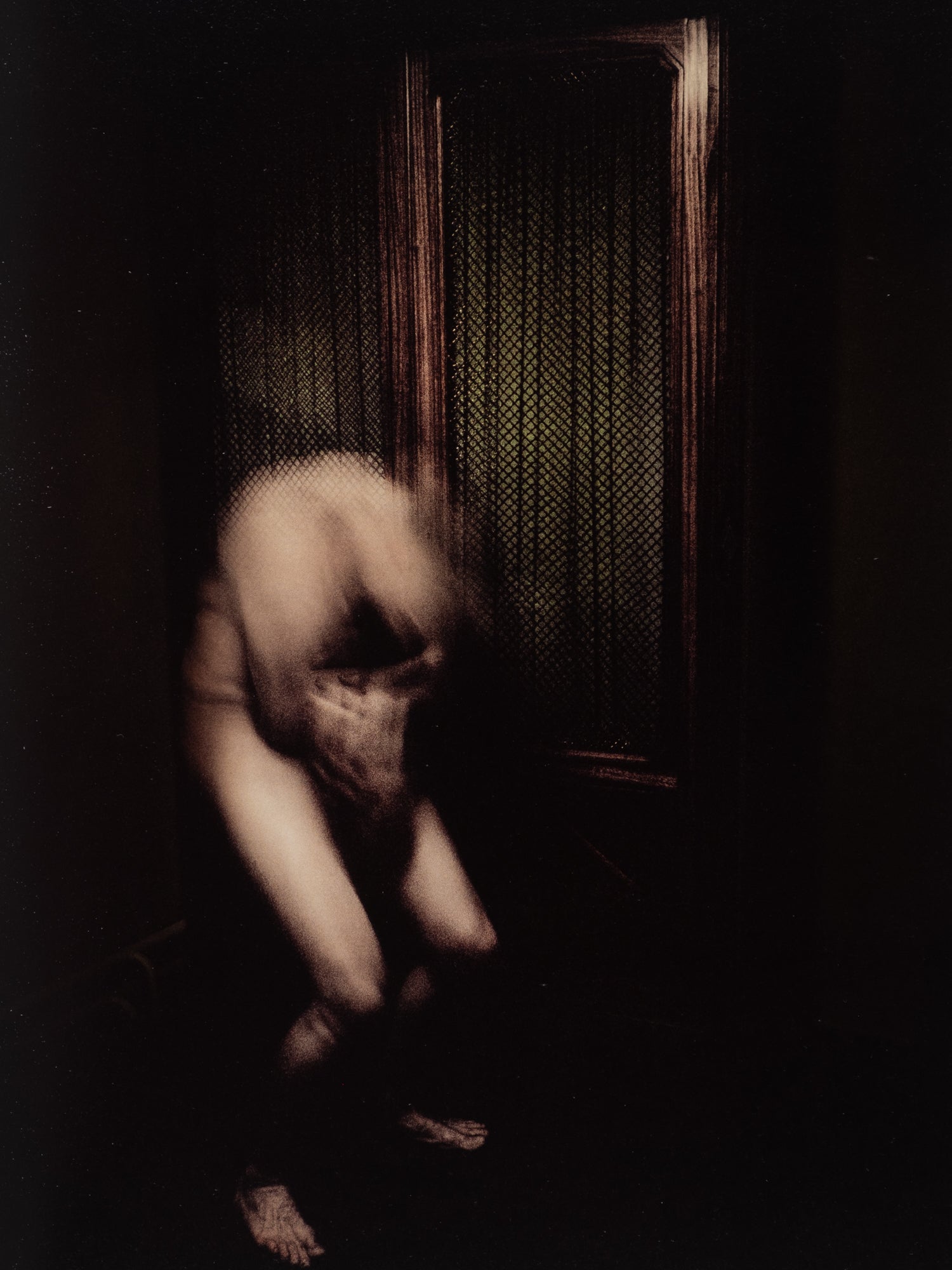Antoine D'Agata — Anticorps