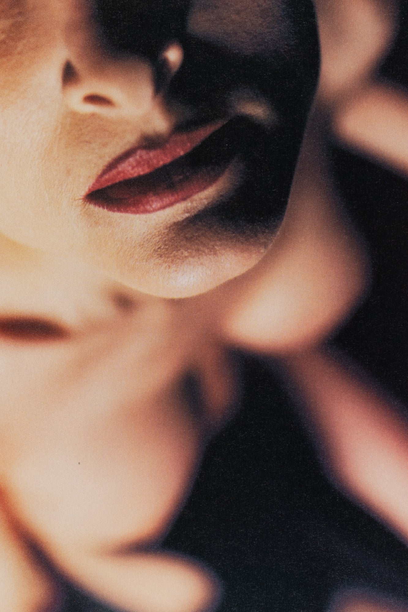 David Lynch — Images