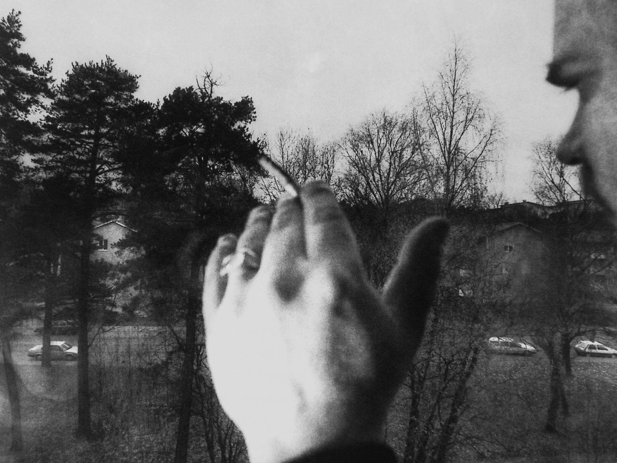 Anders Petersen — Ingen har sett allt