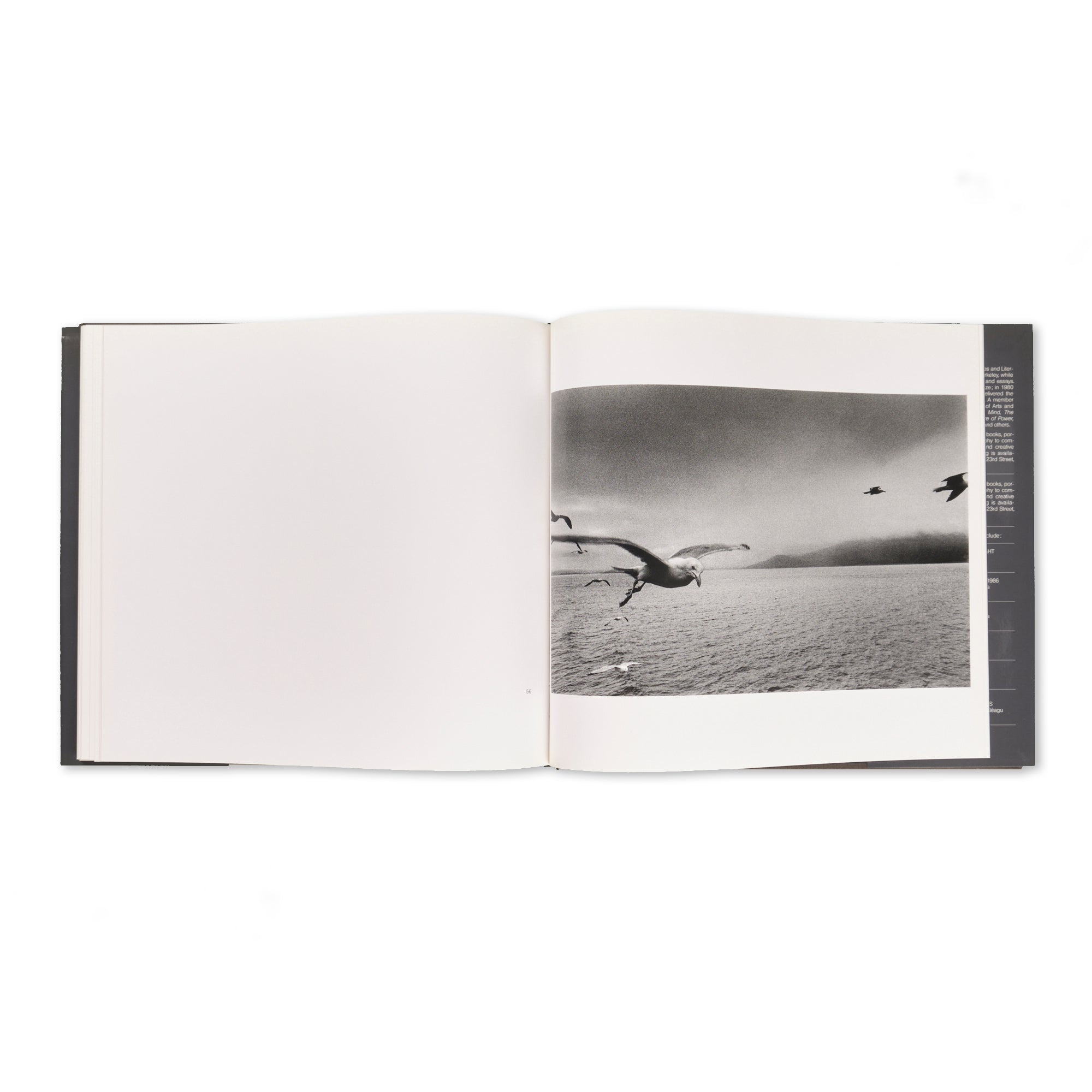 Josef Koudelka - Exiles