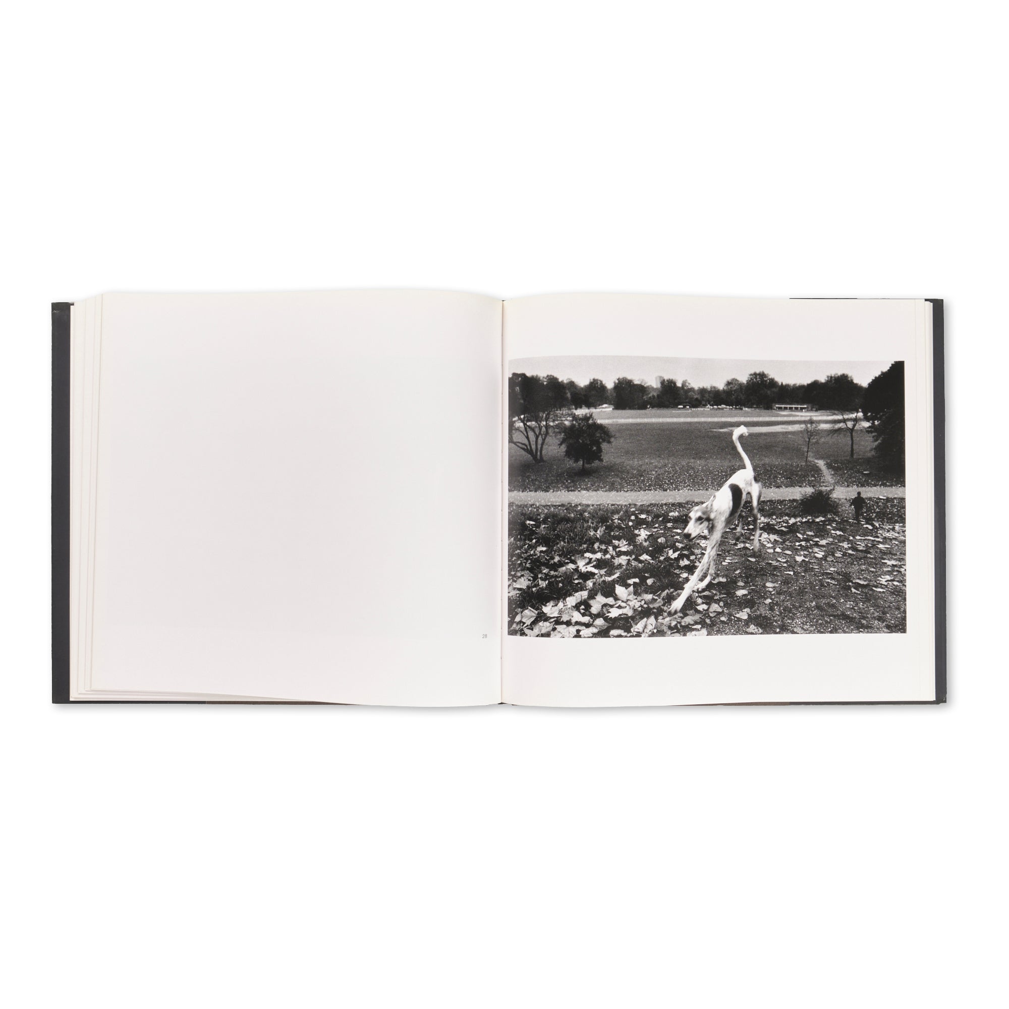 Josef Koudelka - Exiles