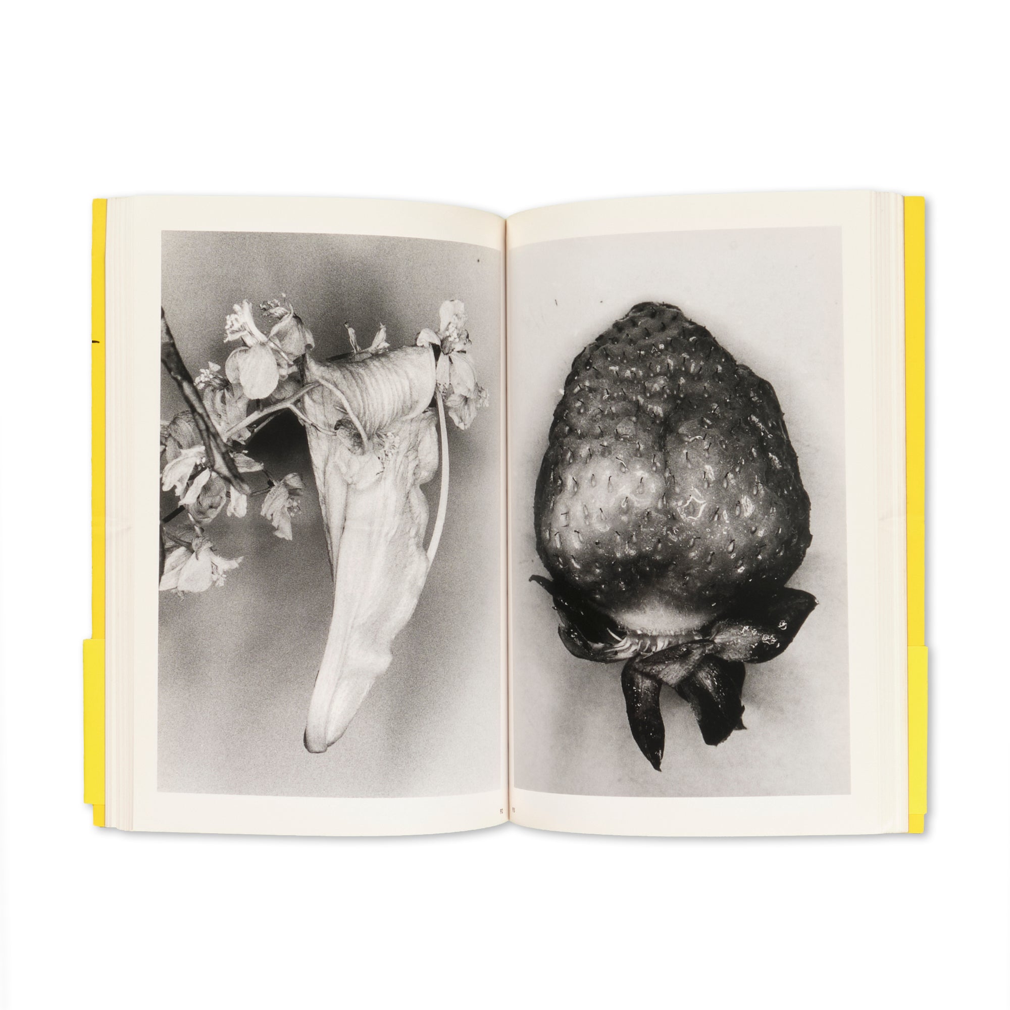 Nobuyoshi Araki - Erotos (The Works of Nobuyoshi Araki 16)