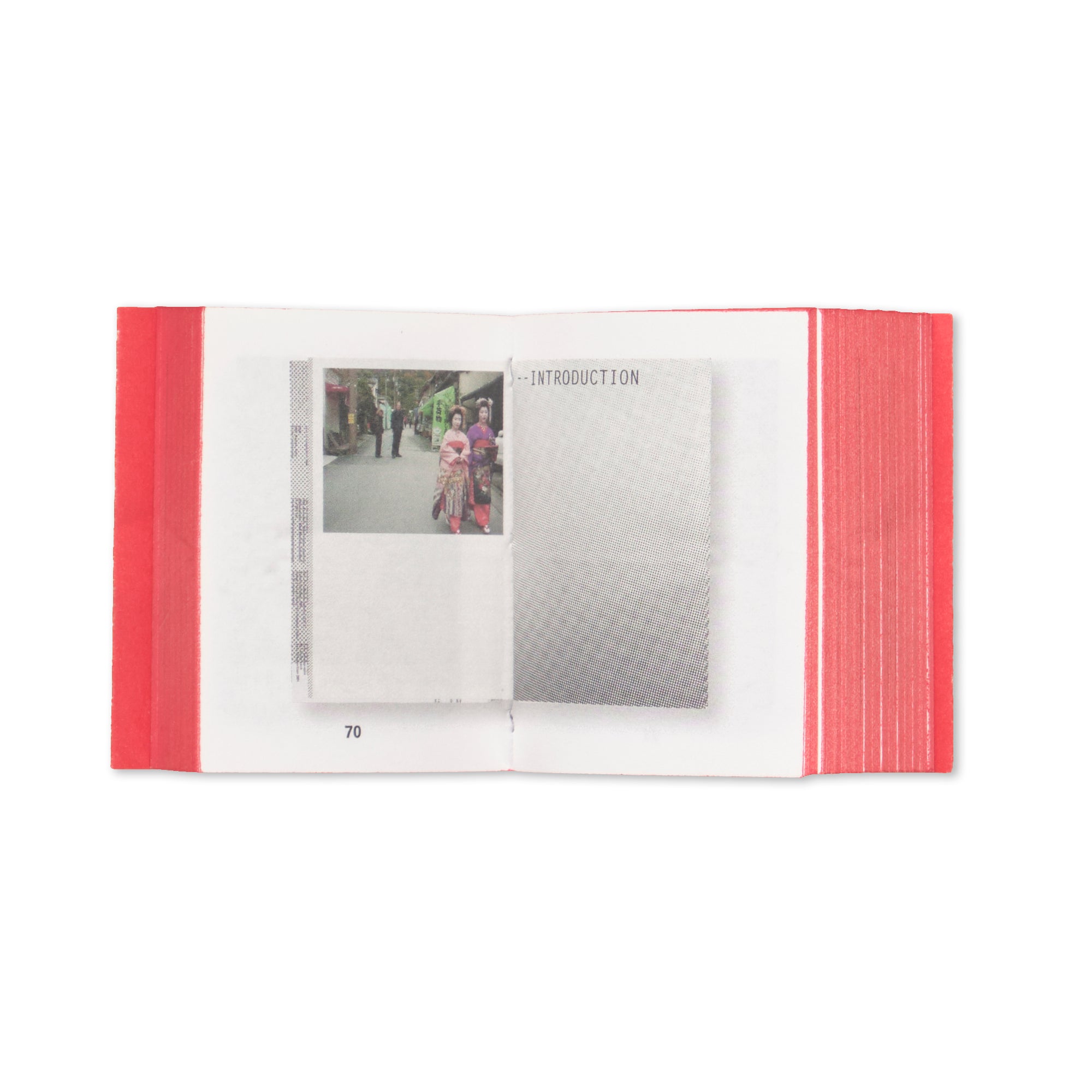 Irma Boom - Biography in Books