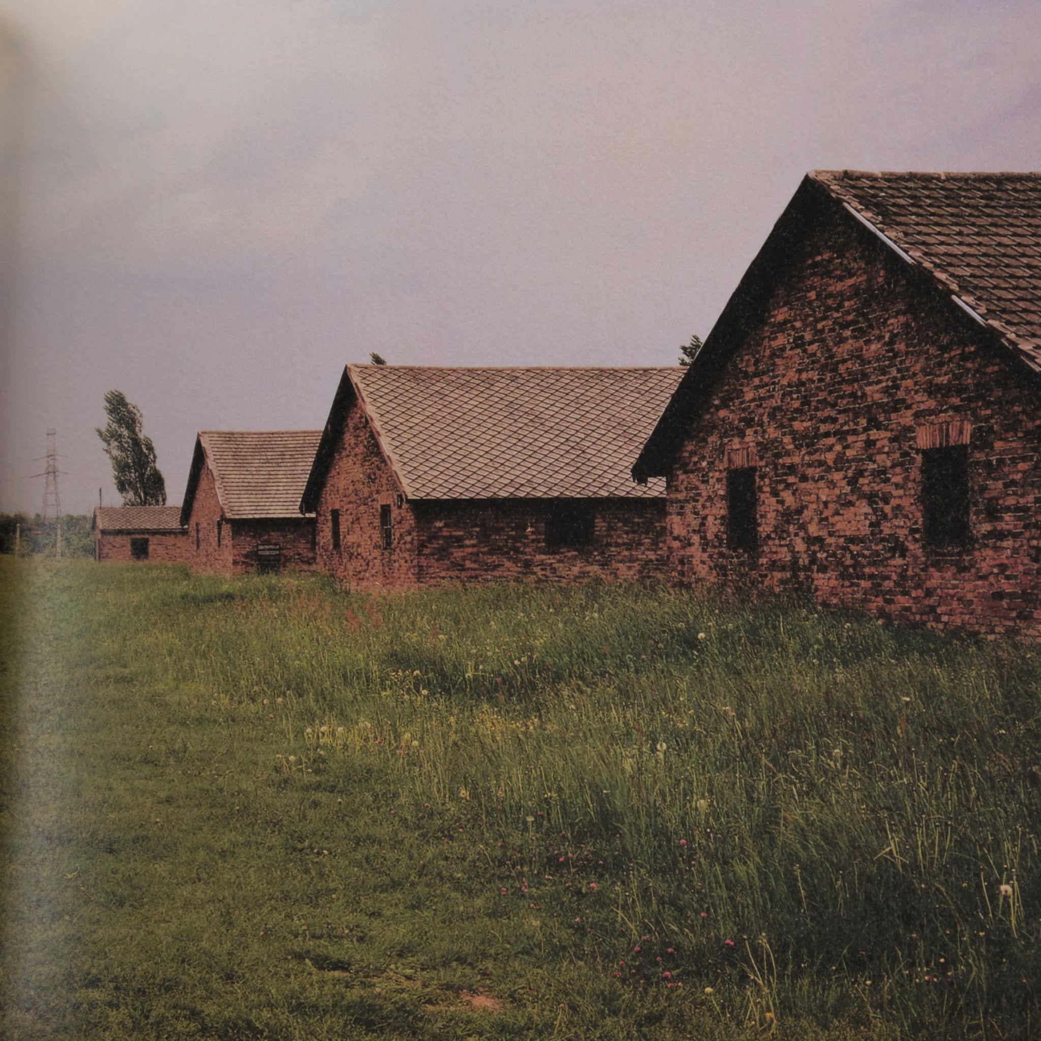 Andreas Magdanz - Auschwitz-Birkenau