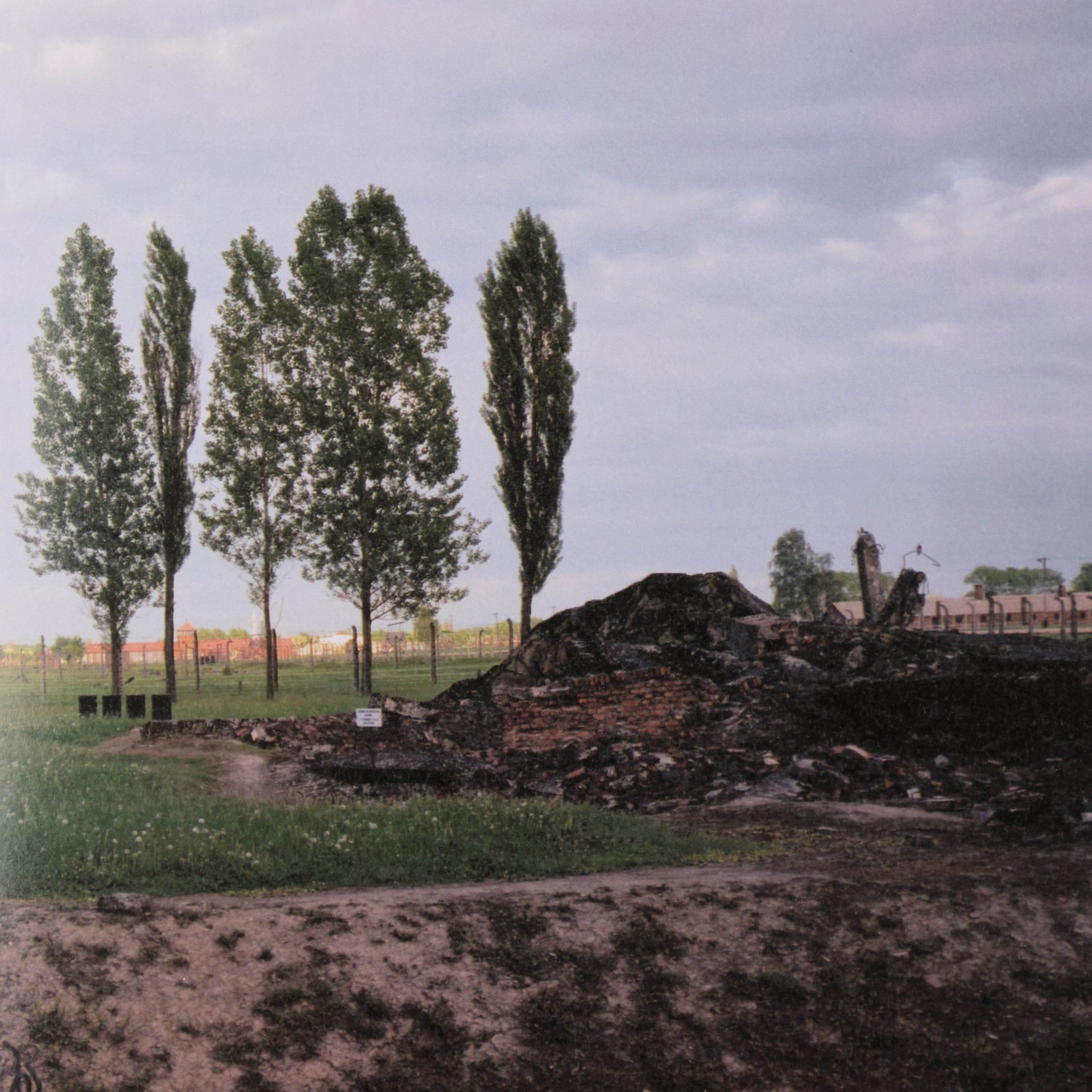Andreas Magdanz - Auschwitz-Birkenau