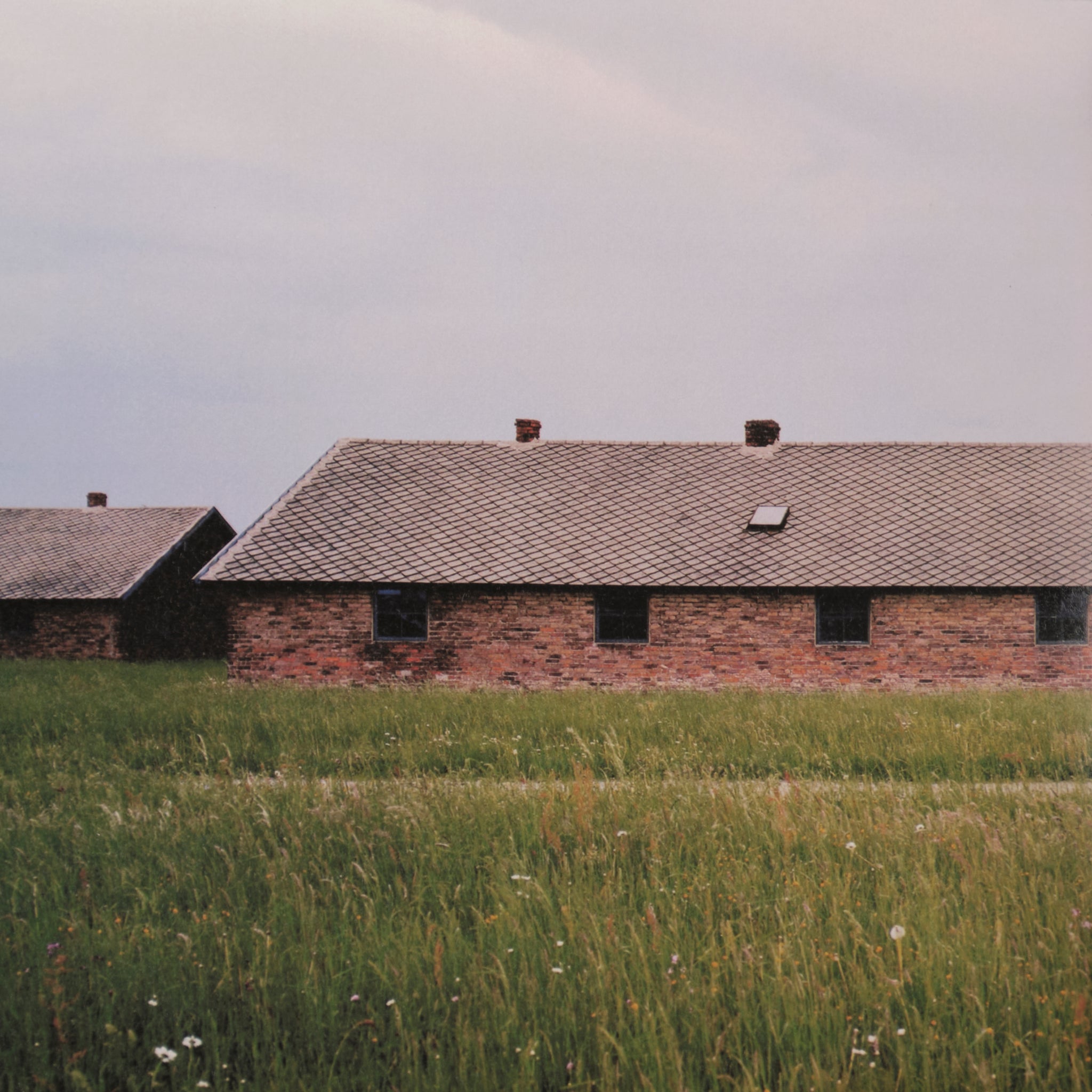 Andreas Magdanz - Auschwitz-Birkenau