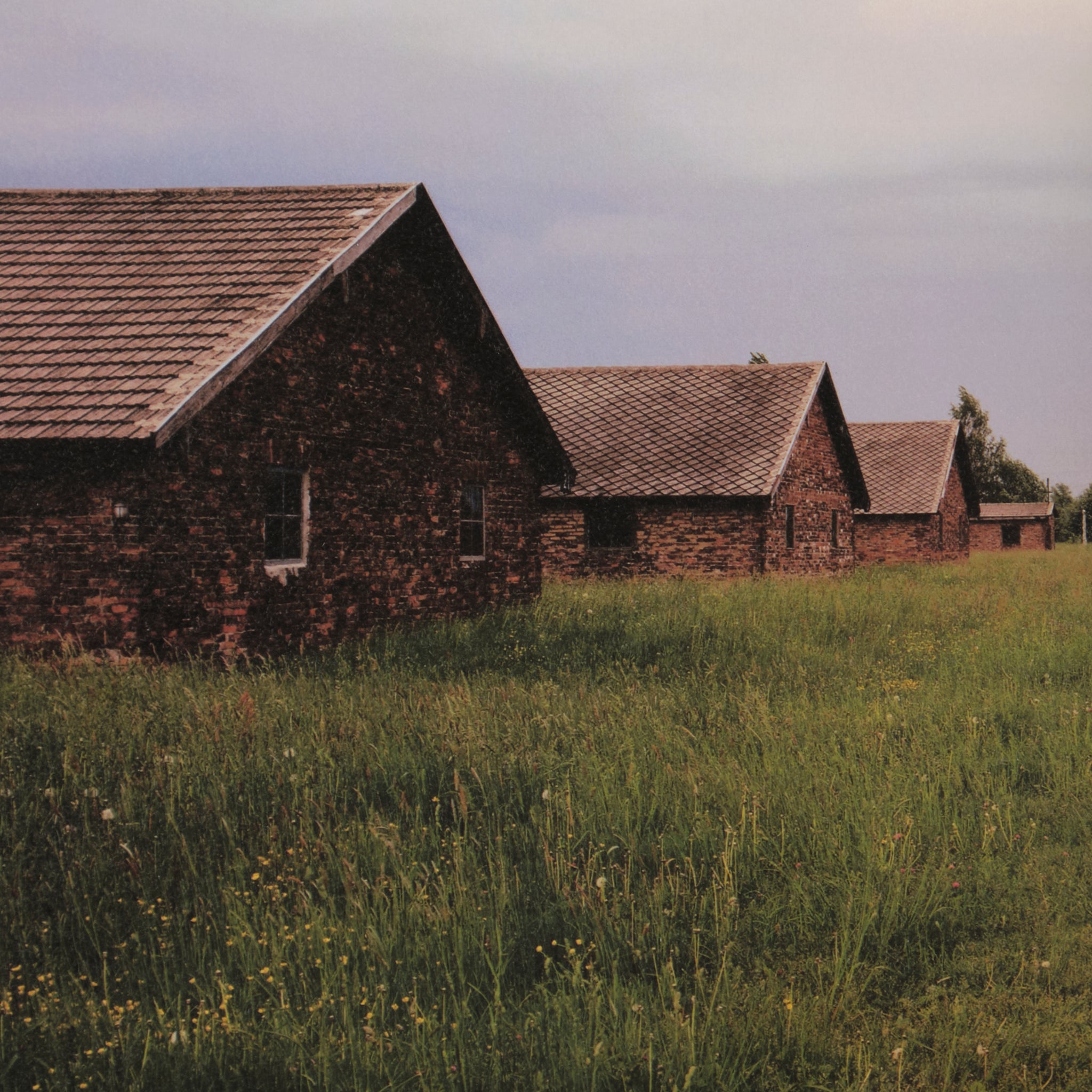 Andreas Magdanz - Auschwitz-Birkenau