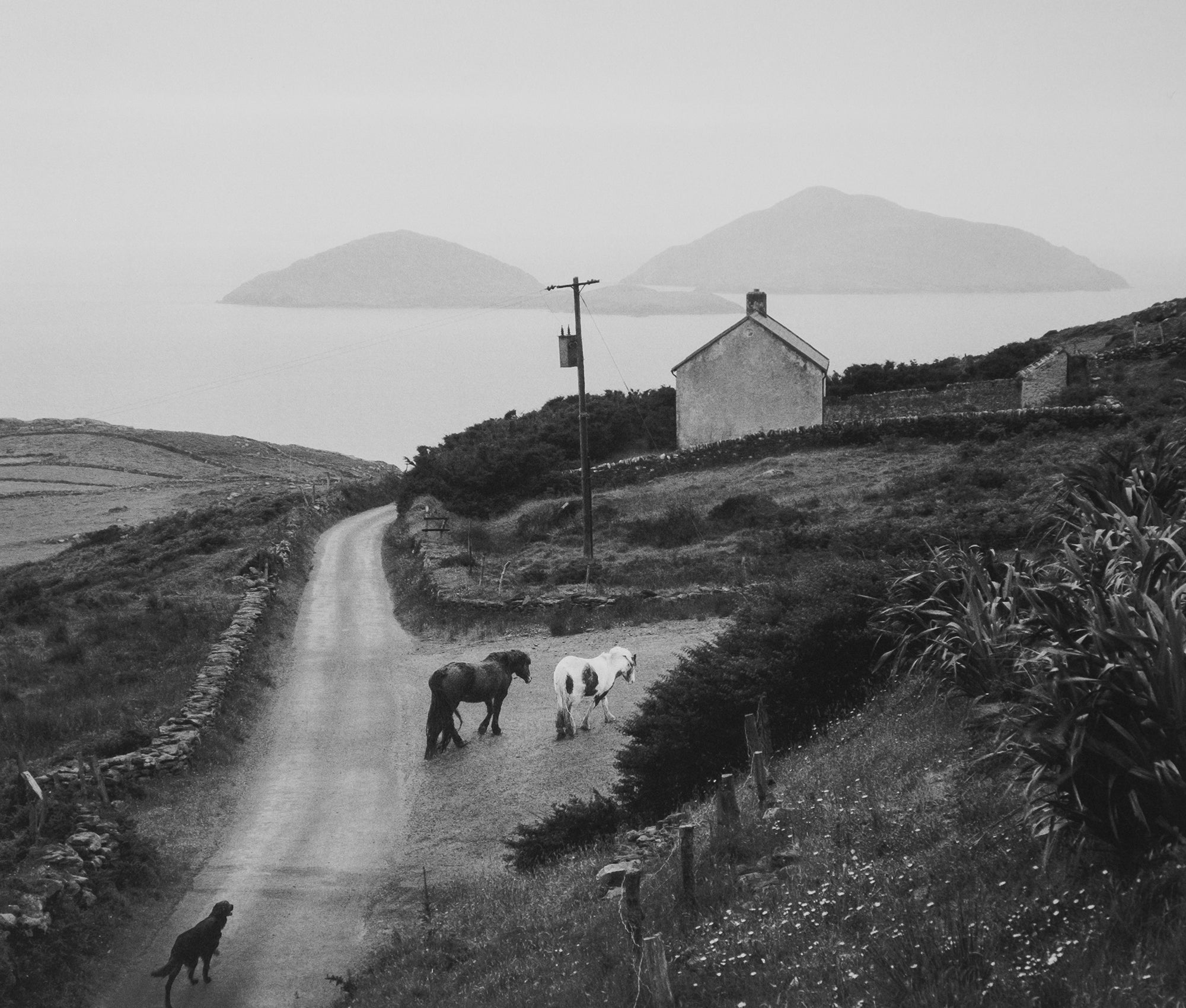 Pentti Sammallahti — Here Far Away – Wolf Books