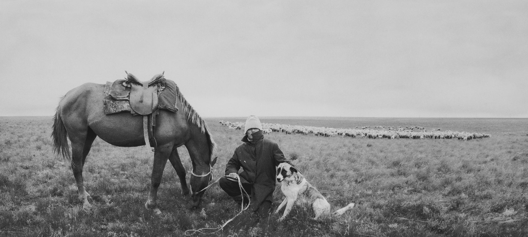 Pentti Sammallahti — Here Far Away