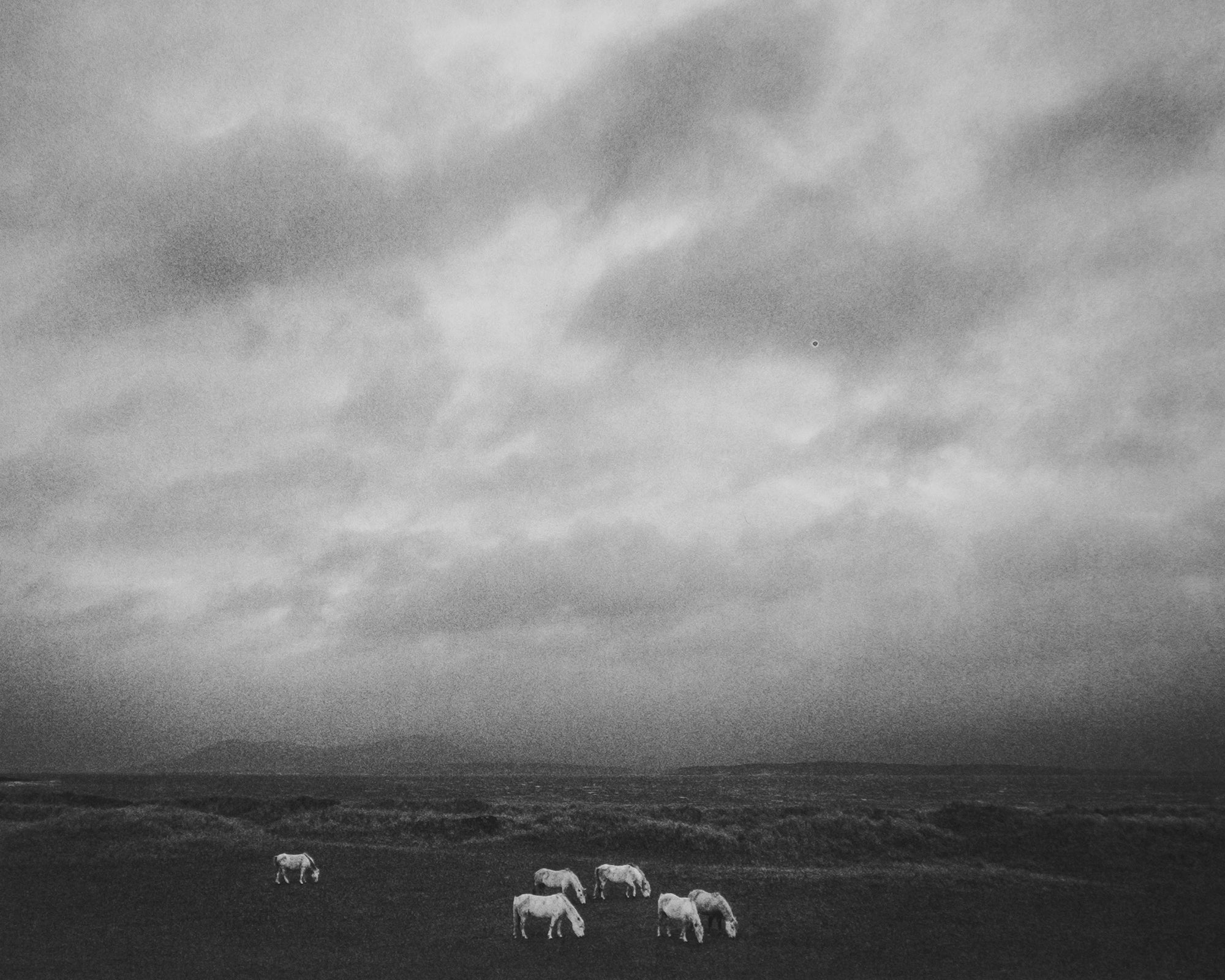 Pentti Sammallahti — Here Far Away
