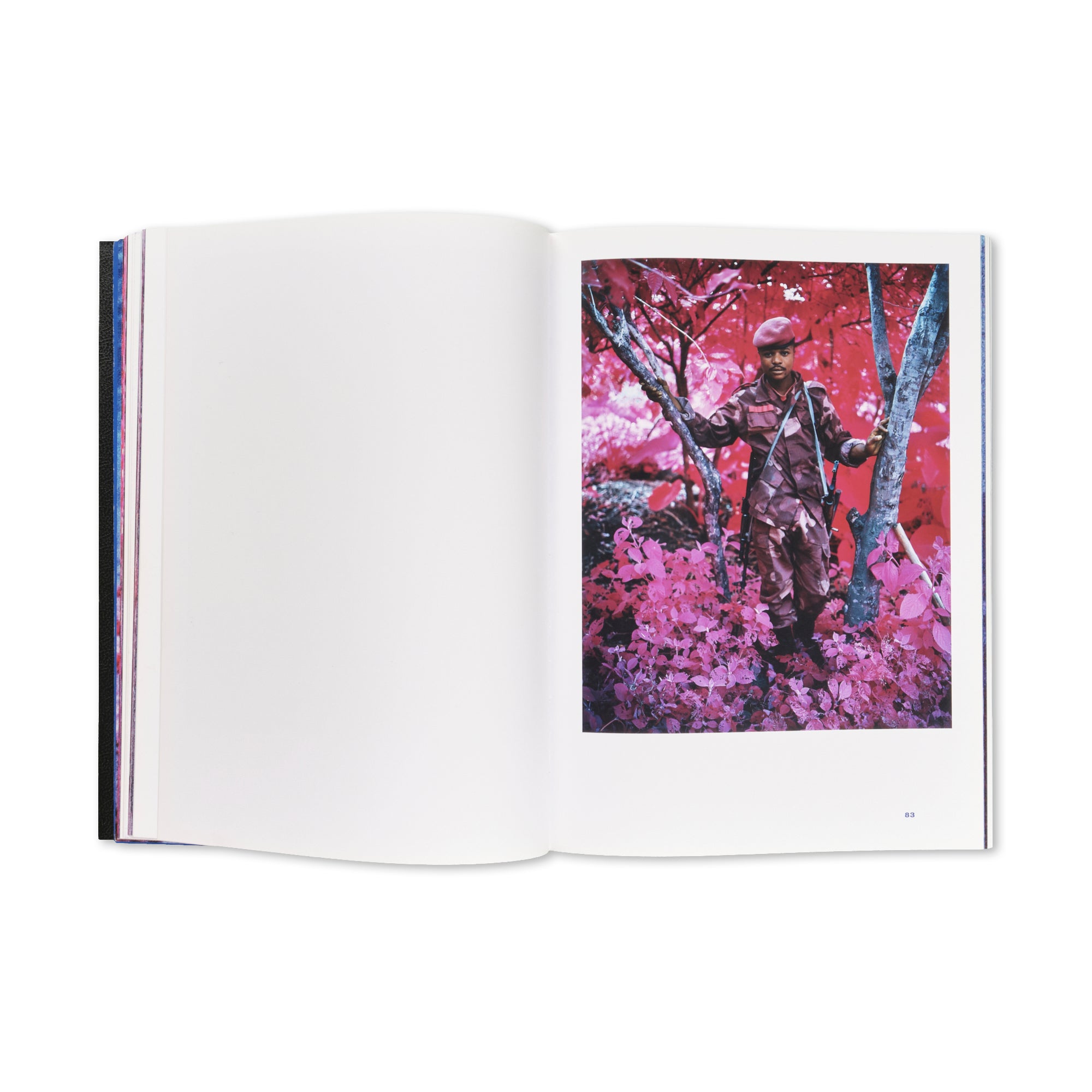 Richard Mosse - The Enclave
