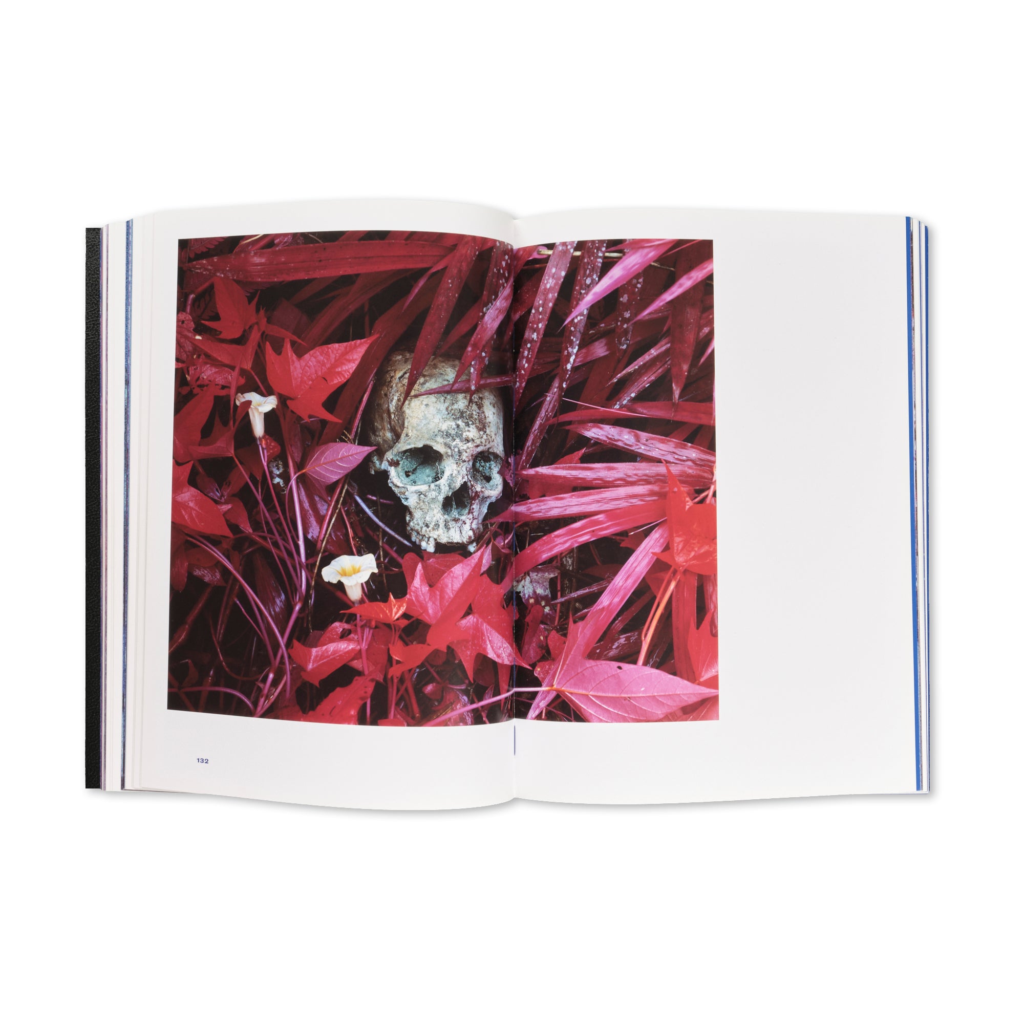 Richard Mosse - The Enclave