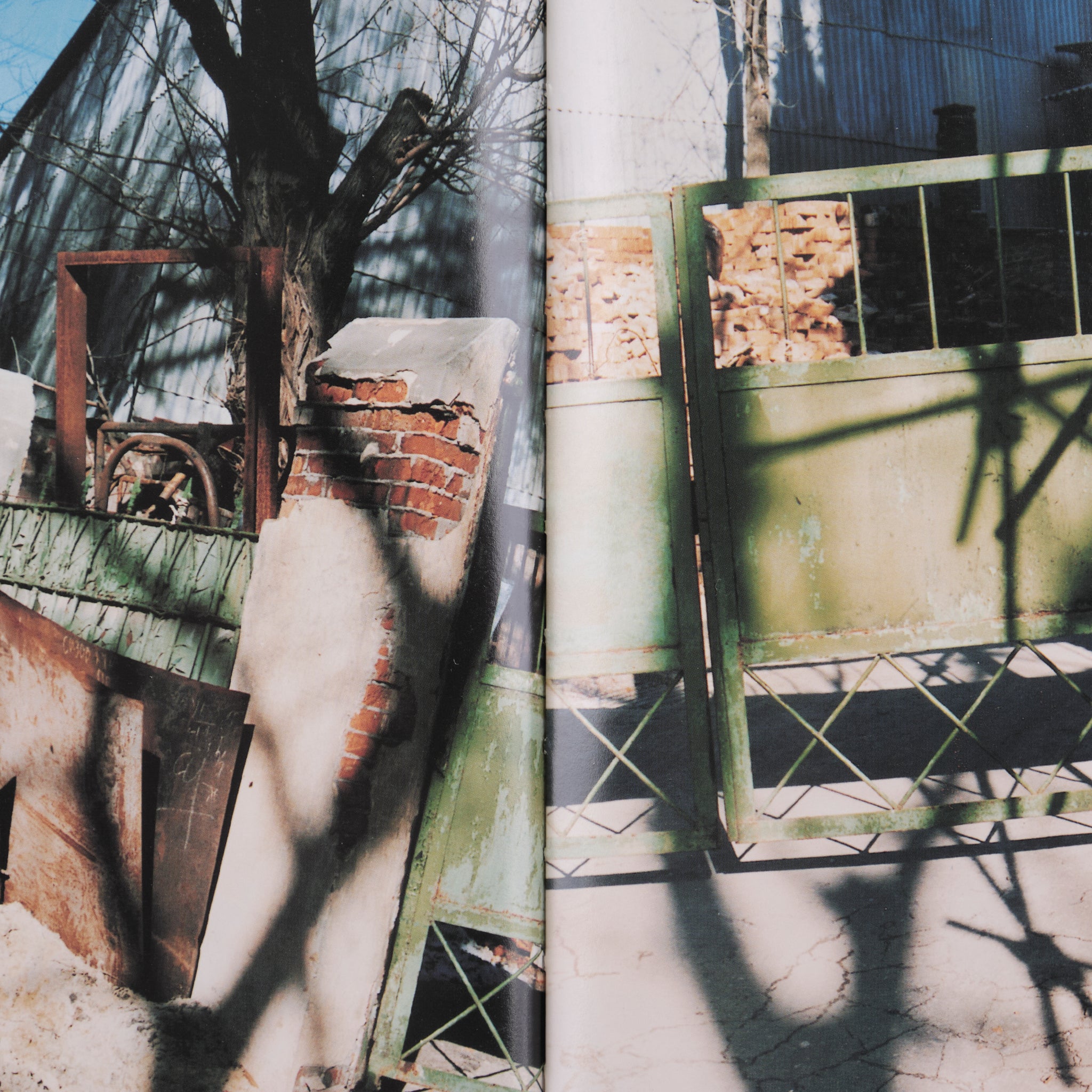 Boris Mikhailov - Case History
