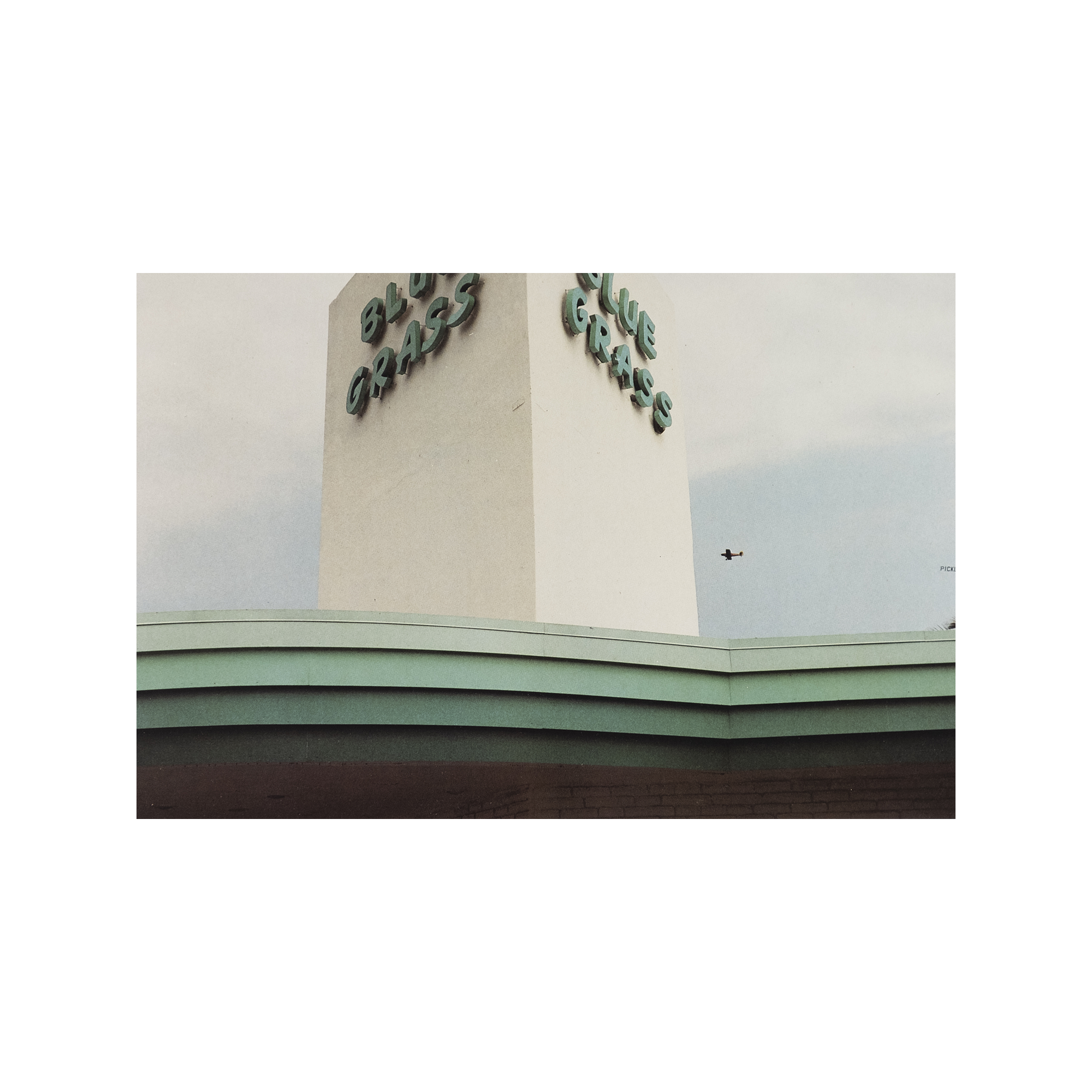 William Eggleston - The Democratic Forest