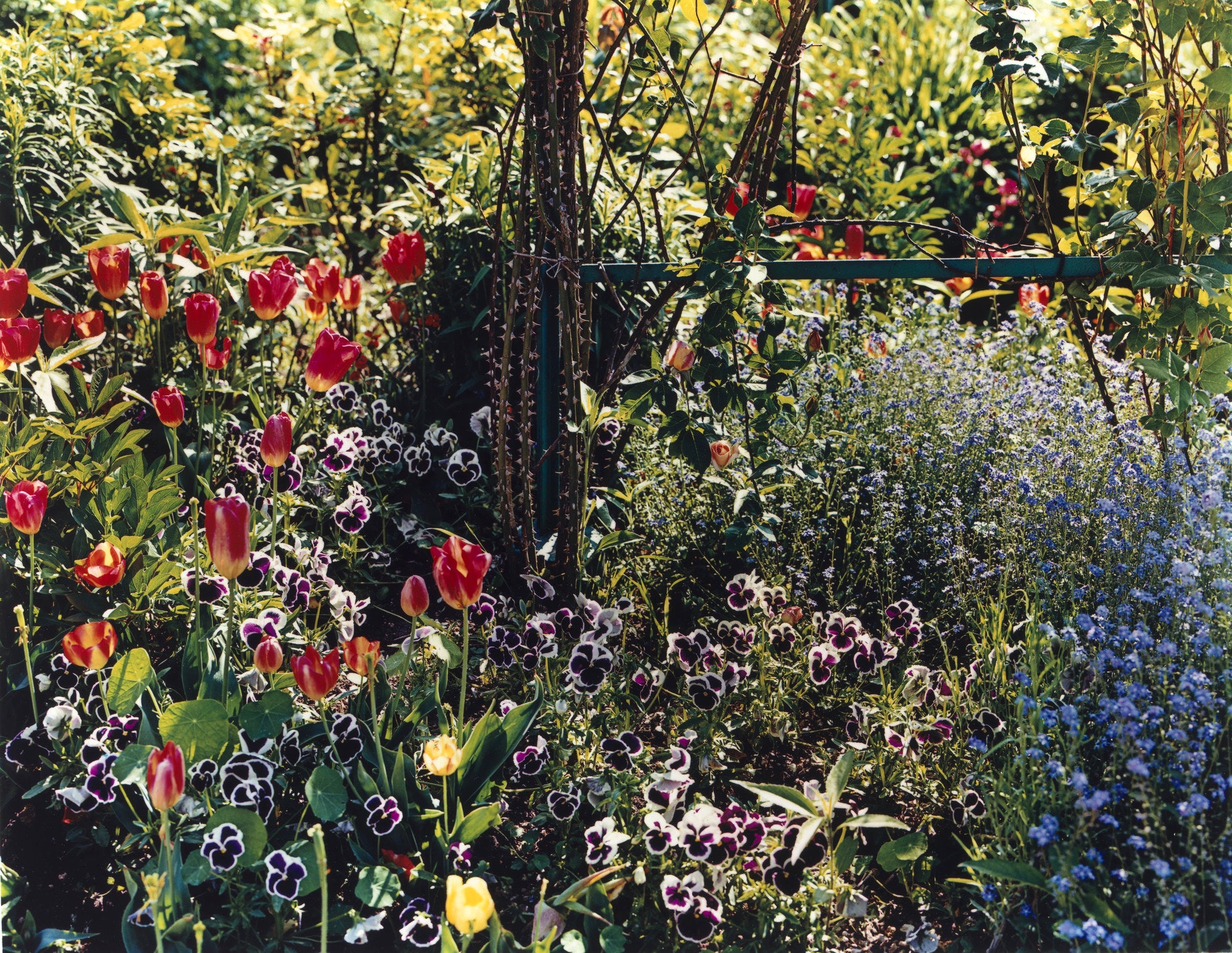 Stephen Shore — The Gardens At Giverny