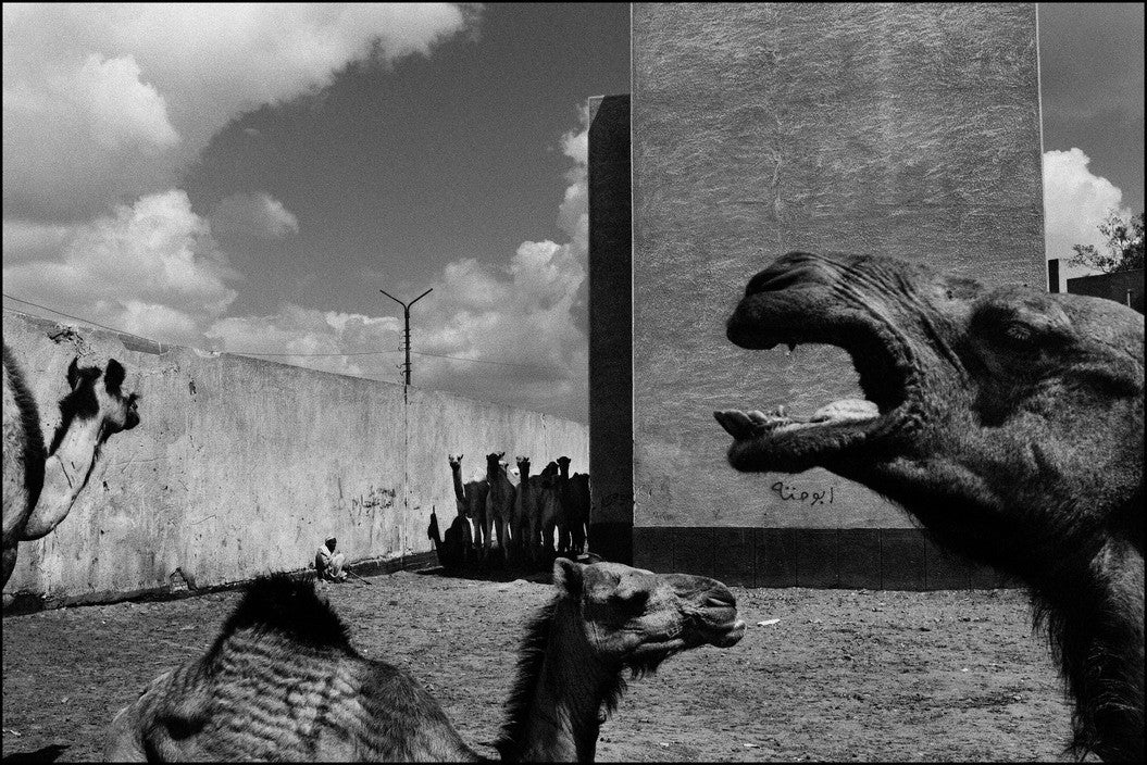 Moises Saman — Discordia