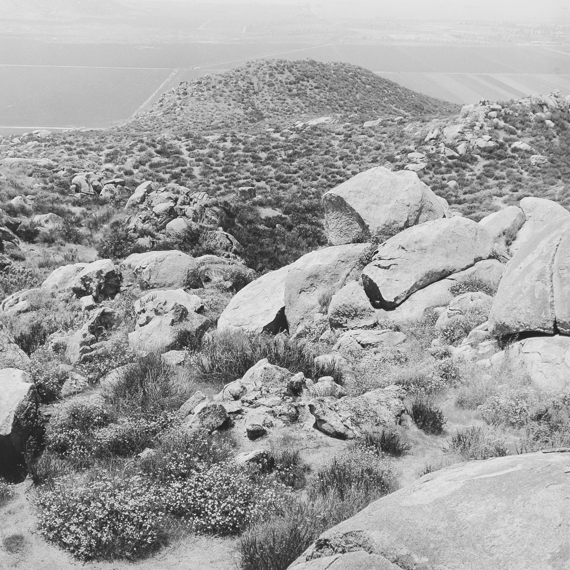 Joe Deal — Southern California Photographs 1976-86
