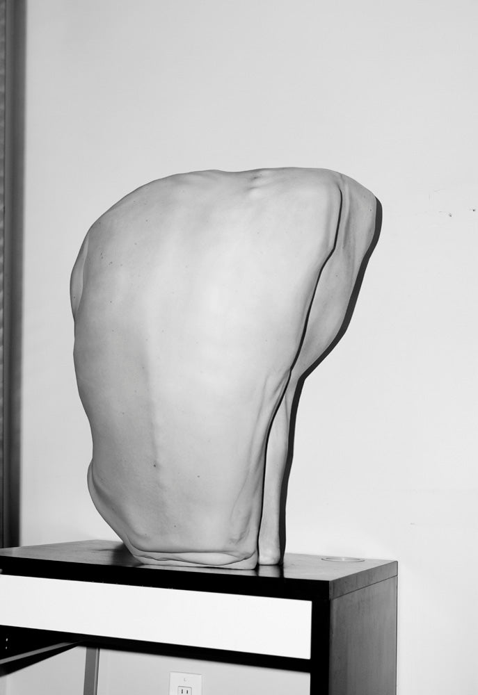 Asger Carlsen — Hester