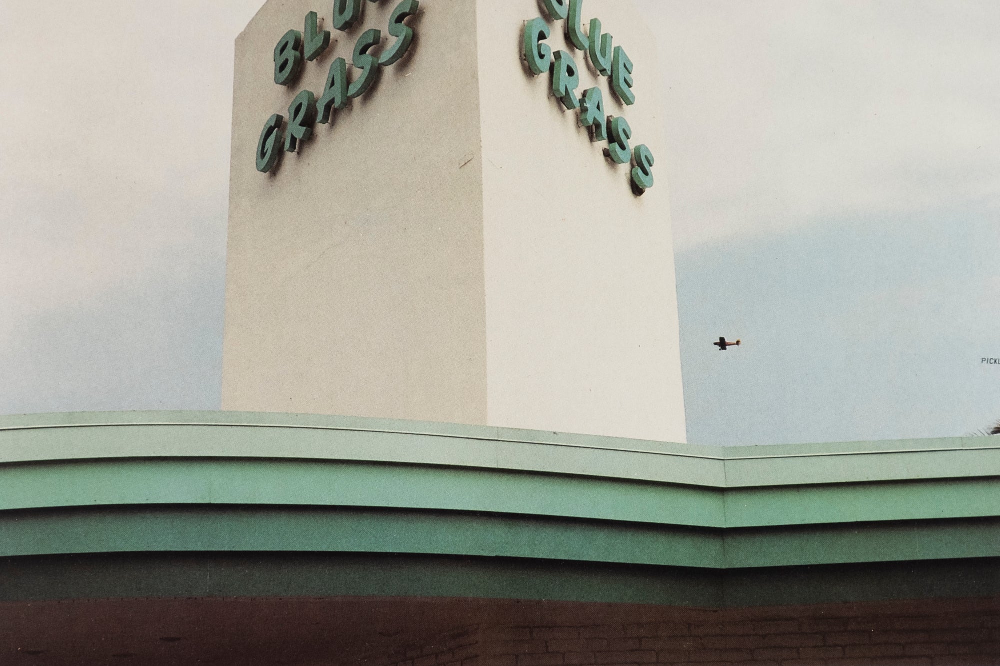 William Eggleston — The Democratic Forest