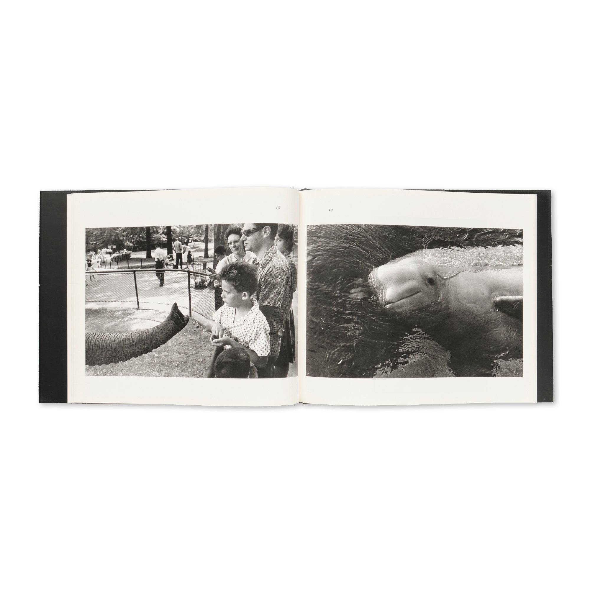 Garry Winogrand - The Animals