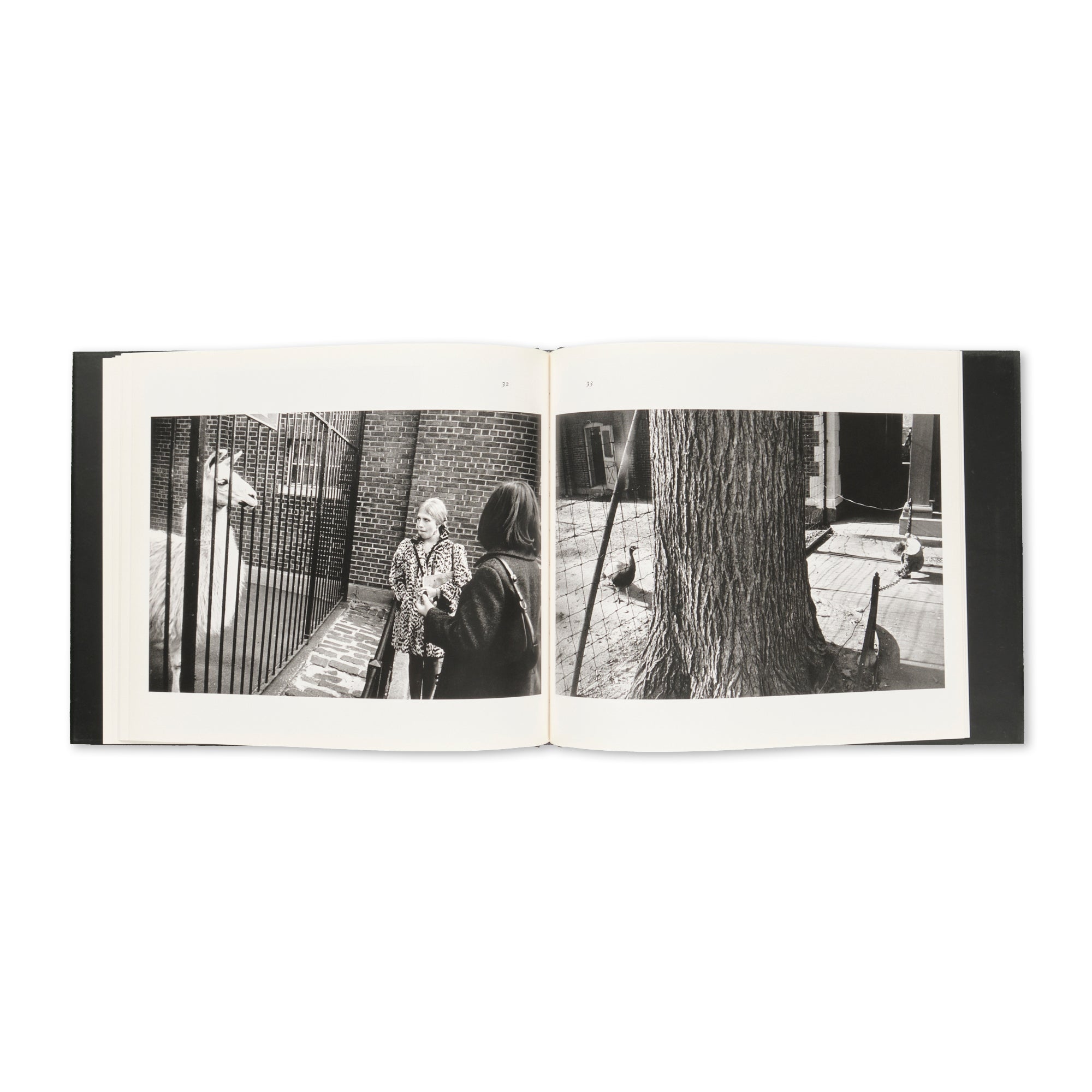 Garry Winogrand - The Animals