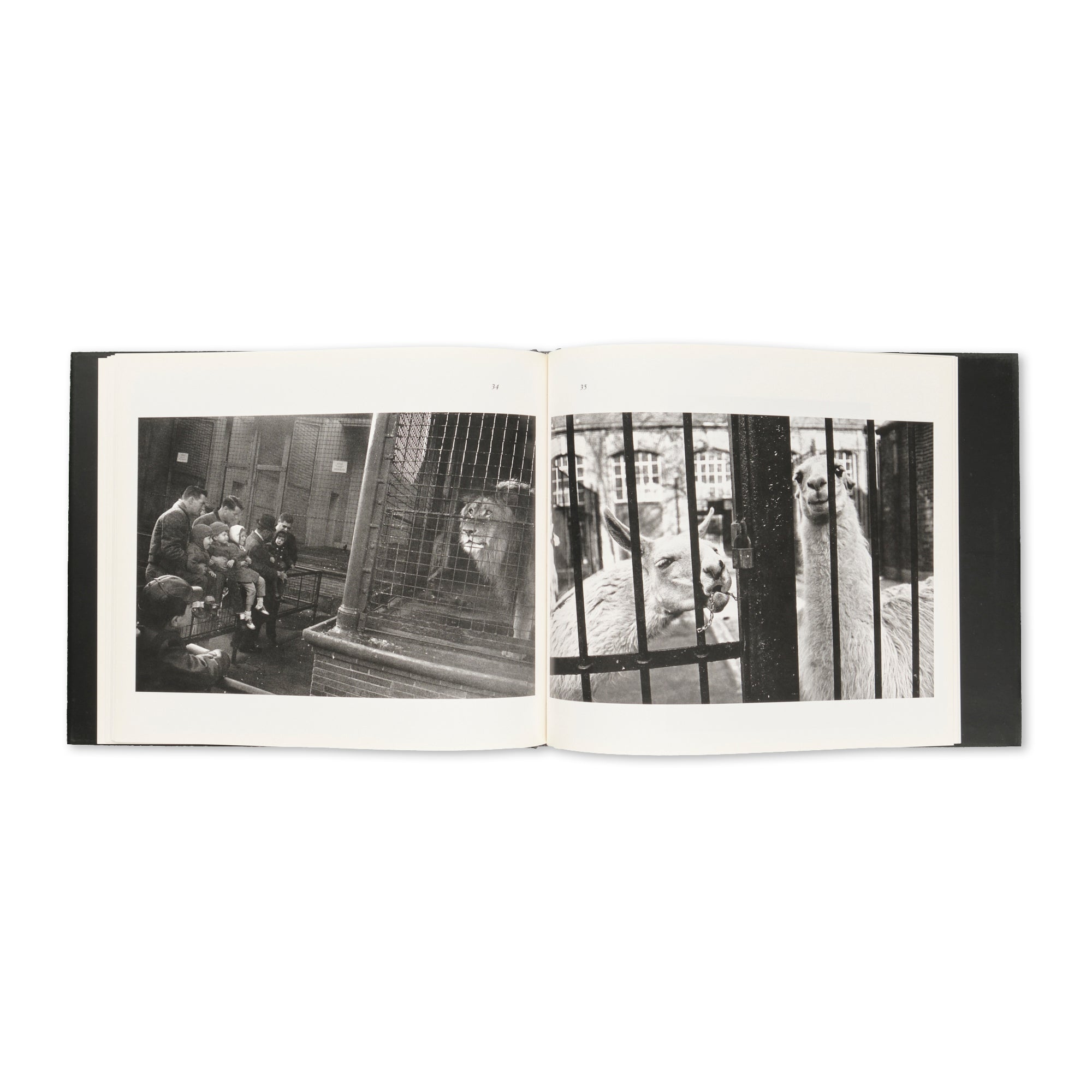 Garry Winogrand - The Animals
