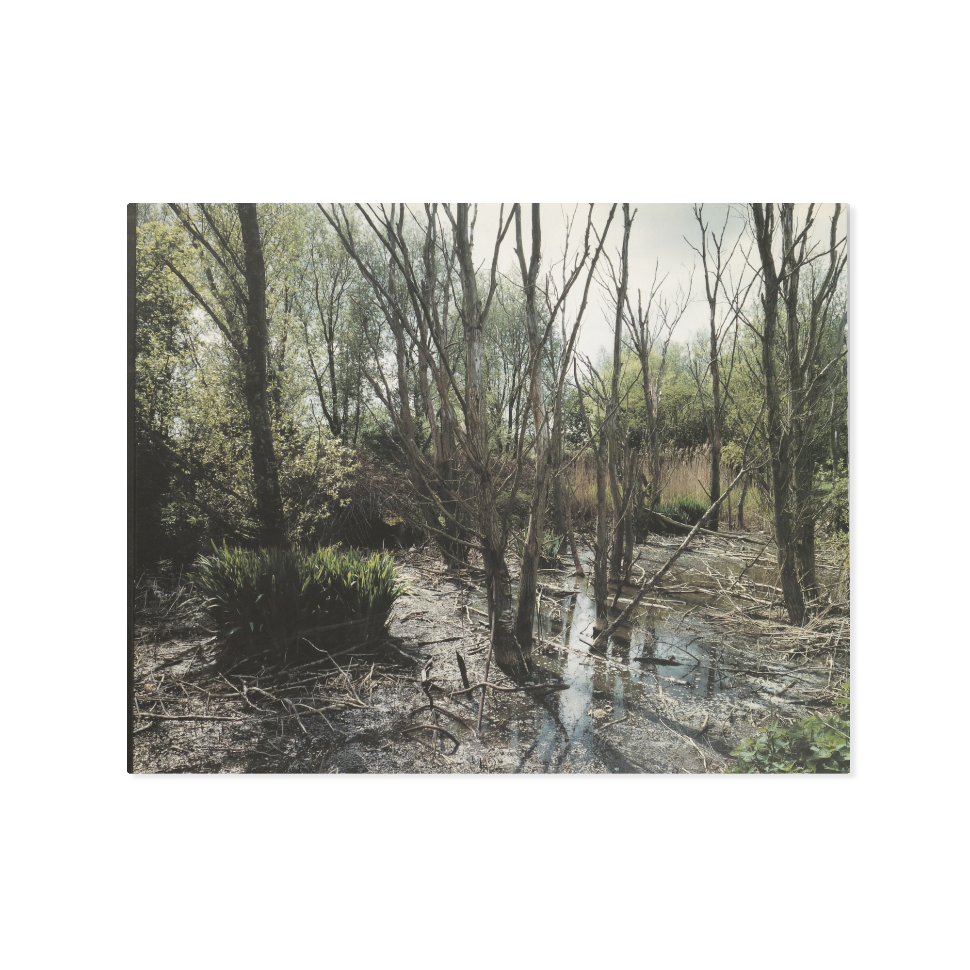 Wout Berger — Giflandschap / Poisoned Landscape