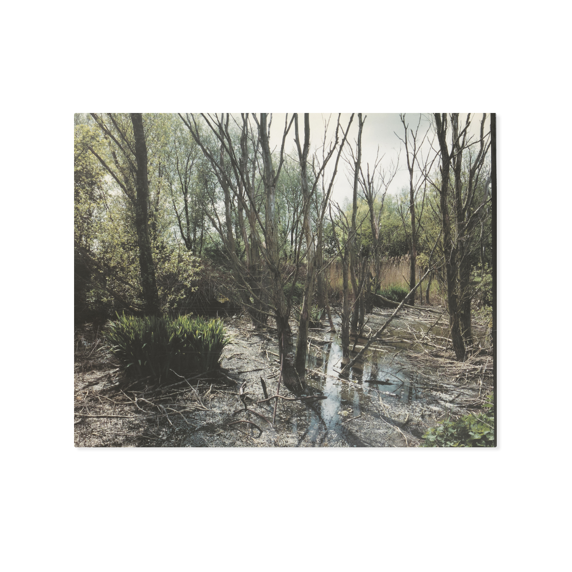 Wout Berger — Giflandschap / Poisoned Landscape