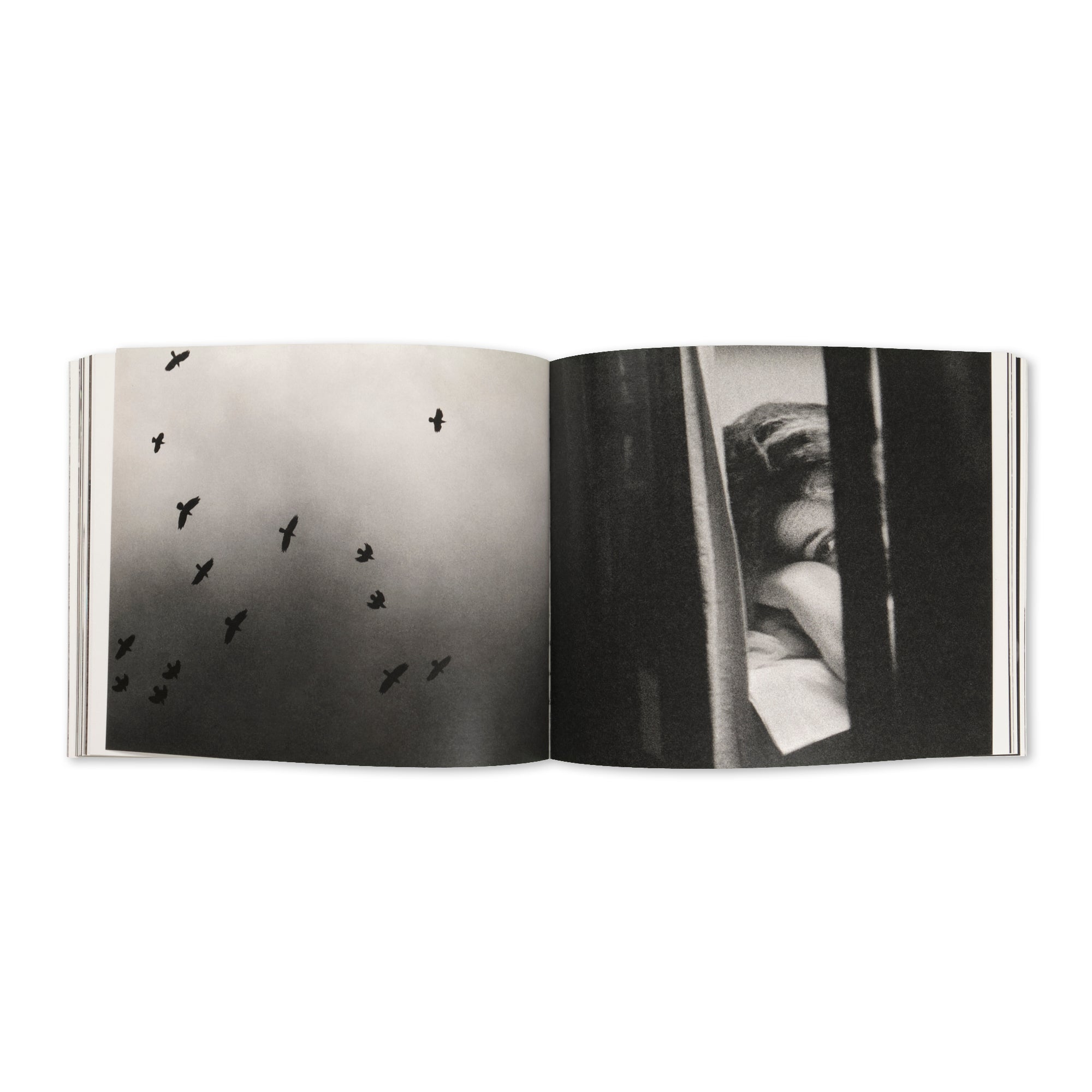 Jim Goldberg - Open See