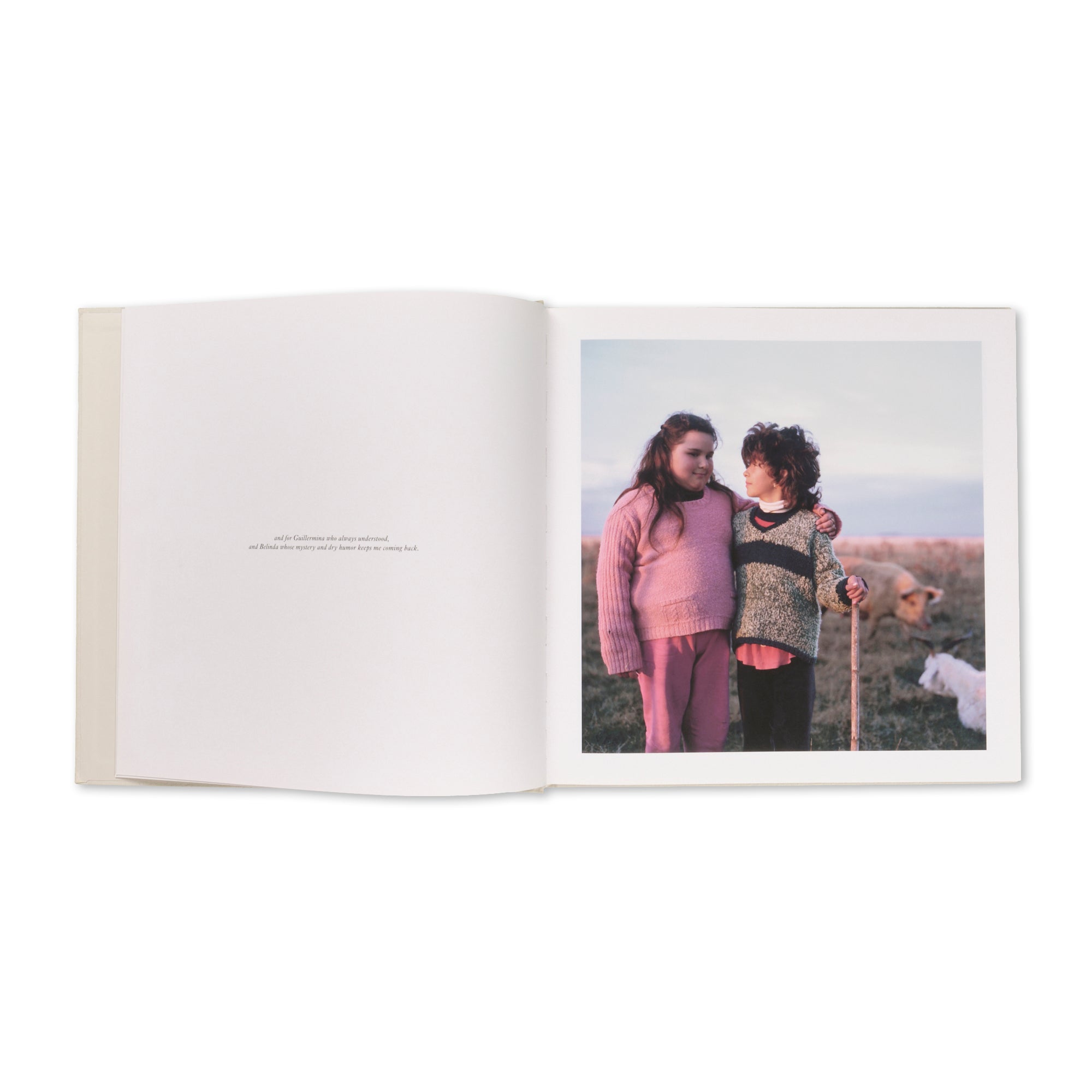 Alessandra Sanguinetti - The Adventures of Guille and Belinda and The Enigmatic Meaning of Their Dreams