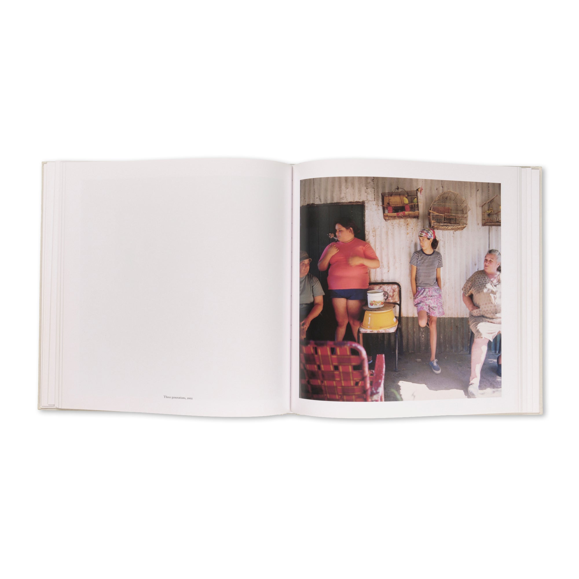 Alessandra Sanguinetti - The Adventures of Guille and Belinda and The Enigmatic Meaning of Their Dreams