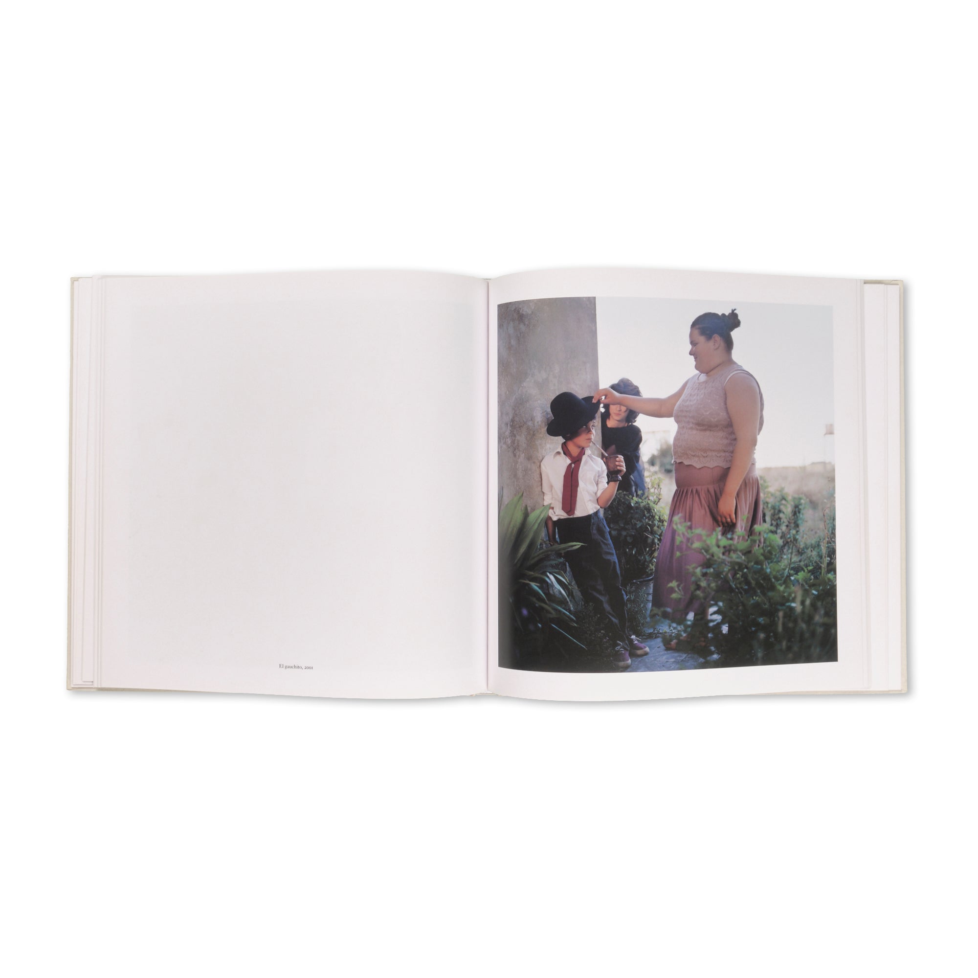 Alessandra Sanguinetti - The Adventures of Guille and Belinda and The Enigmatic Meaning of Their Dreams
