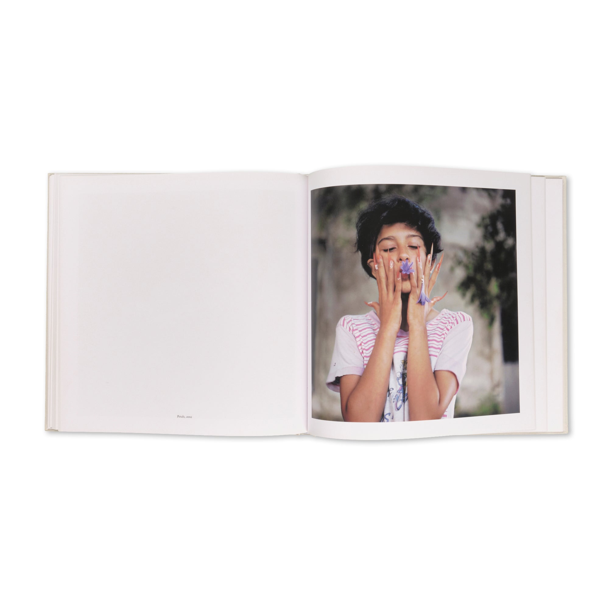 Alessandra Sanguinetti - The Adventures of Guille and Belinda and The Enigmatic Meaning of Their Dreams