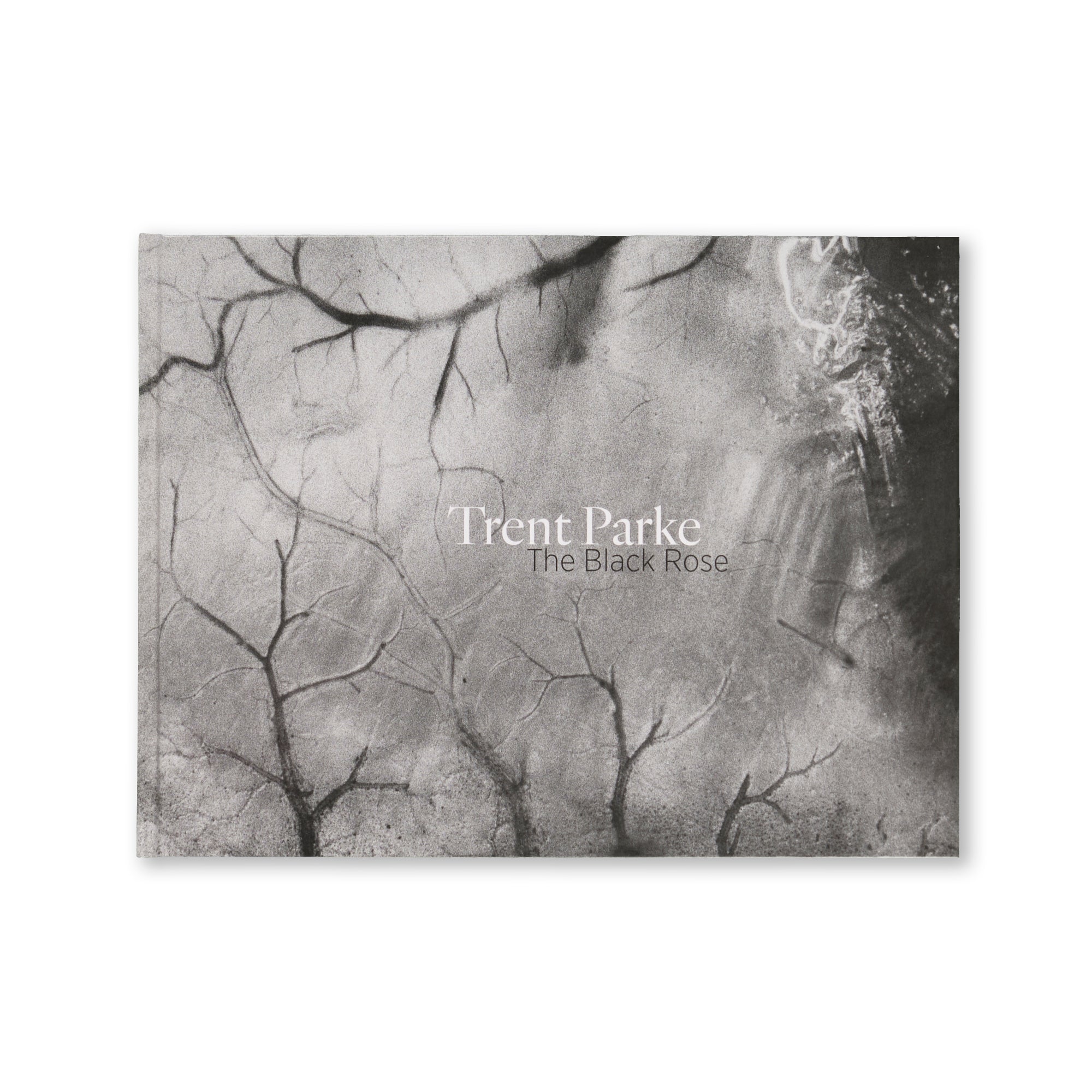 Trent Parke - The Black Rose