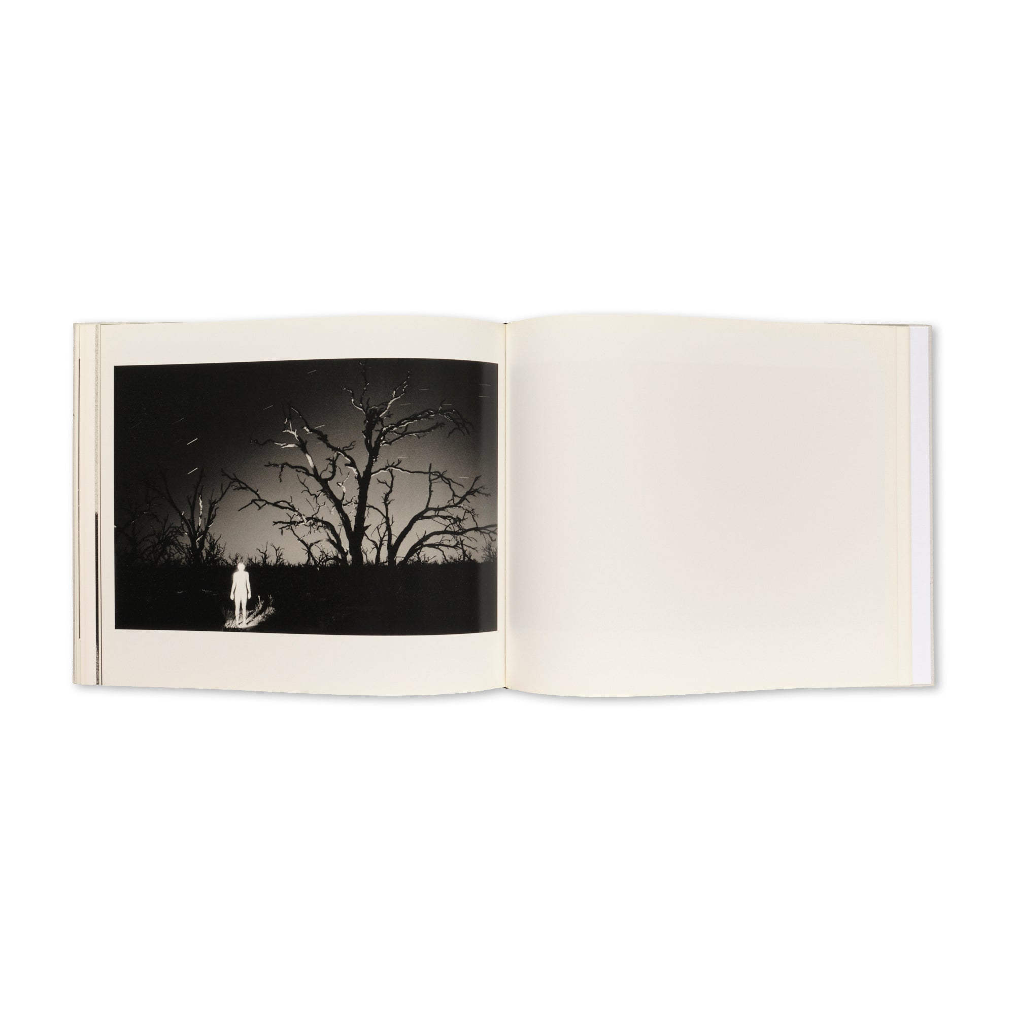 Trent Parke - Minutes to Midnight